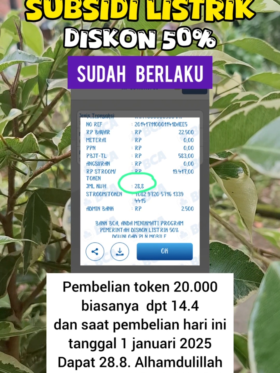 Bantuan Subsidi Listrik 50% sudah berlaku mulai hari ini 1 januari 2025 #infopkhhariini #bpntcair #basosawaltahun #pipcair #bansoscair #subsidilistrik #programbansos2025 