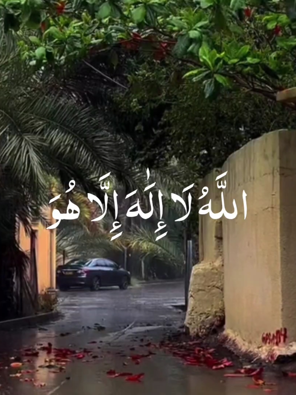 الله لا اله الا هو الحي القيوم ✨🤍 #طمانينه #محمود_علي_البنا #طمانينه #راحة_نفسية #قران #قران_كريم #الصباح #الصباحية 