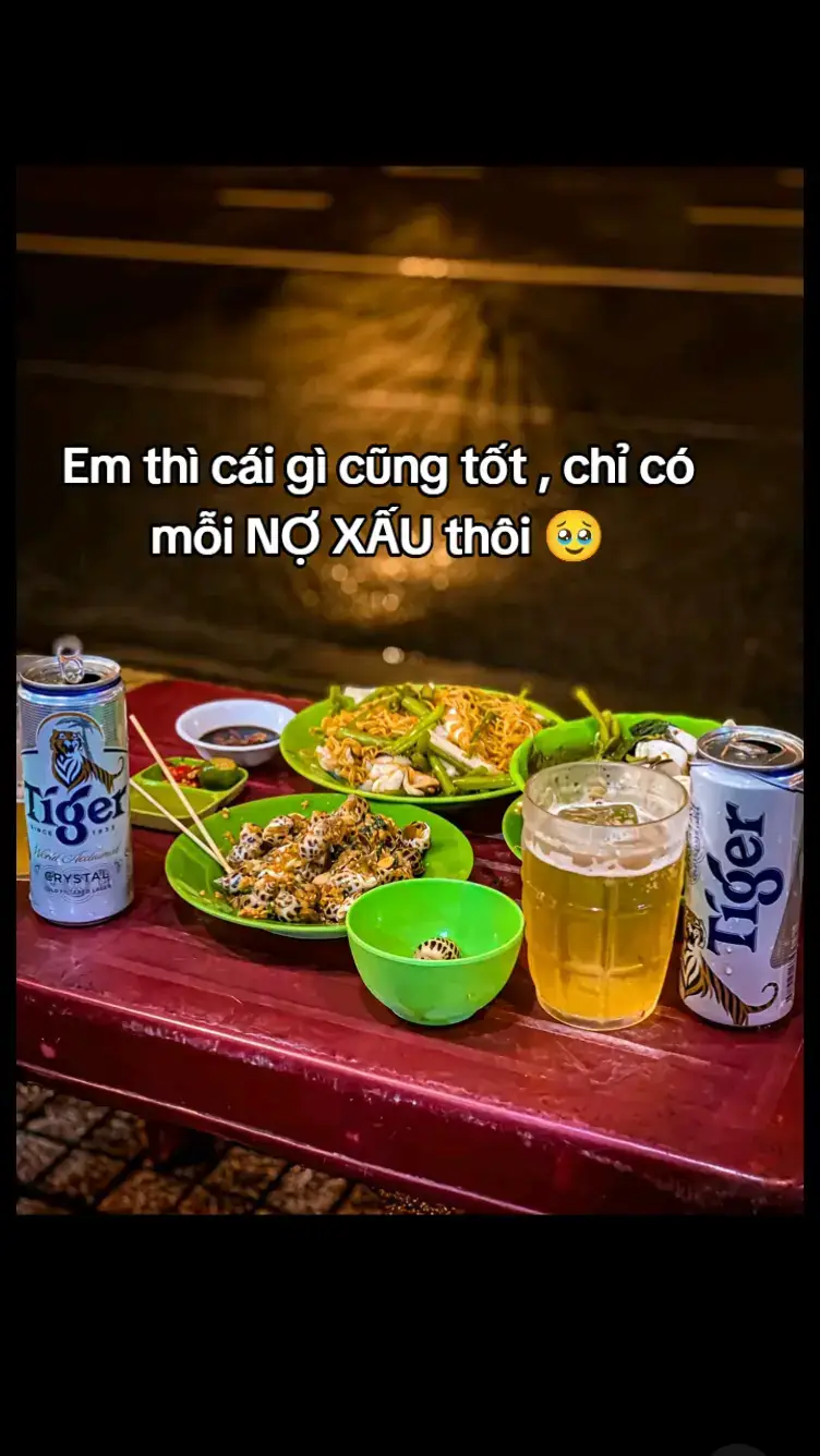 Em thì cái gì cũng tốt , chỉ có mỗi NỢ XẤU thôi 🥹