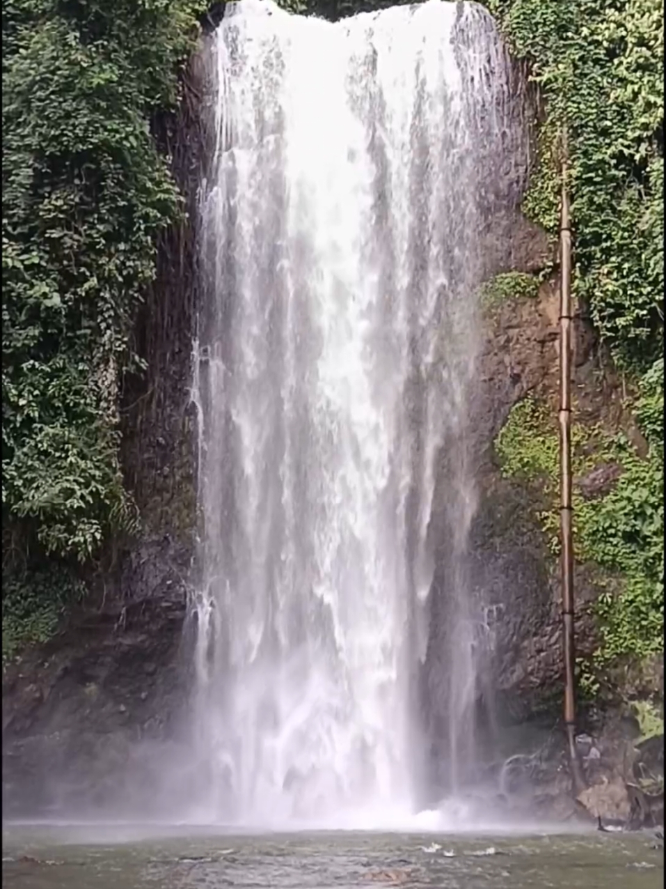 Wisata Alam Air Terjun Renah Sungai Besar!!  #fyp #trending #aestetik #aesthetic #alam 