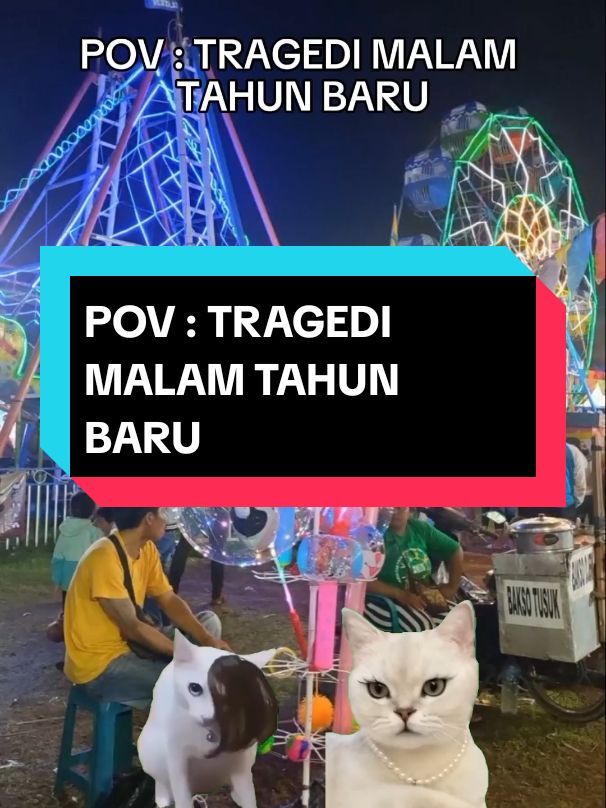 #fyp #meme #kucing #memekucing #fyppppppppppppppppppppppp 