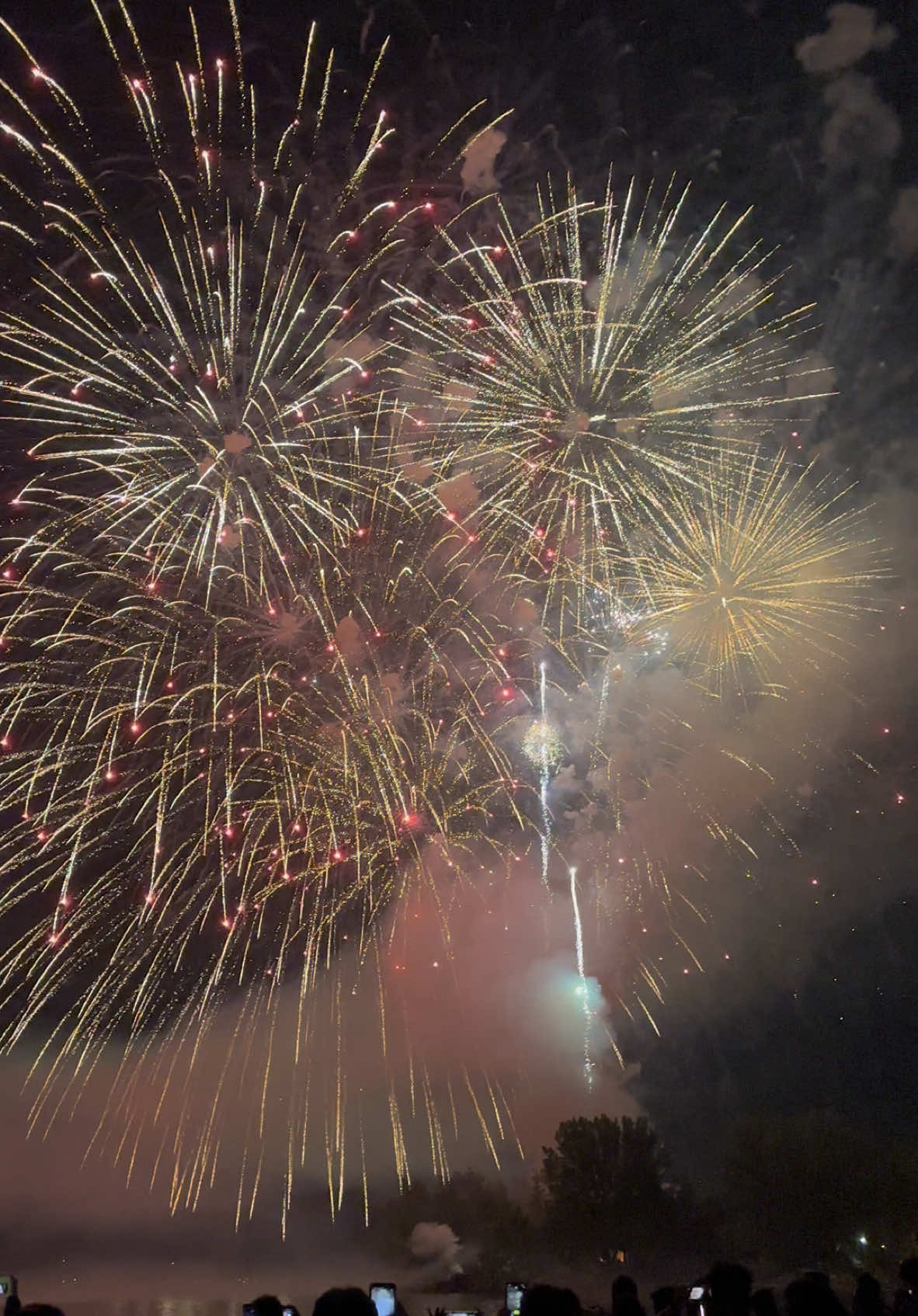 Did you watch the fireworks today? #fireworks #toronto #newyear #newyearfireworks #torontofireworks #nye2024 #canada #harbourfront #fyp #newyearsevefireworks #theend 