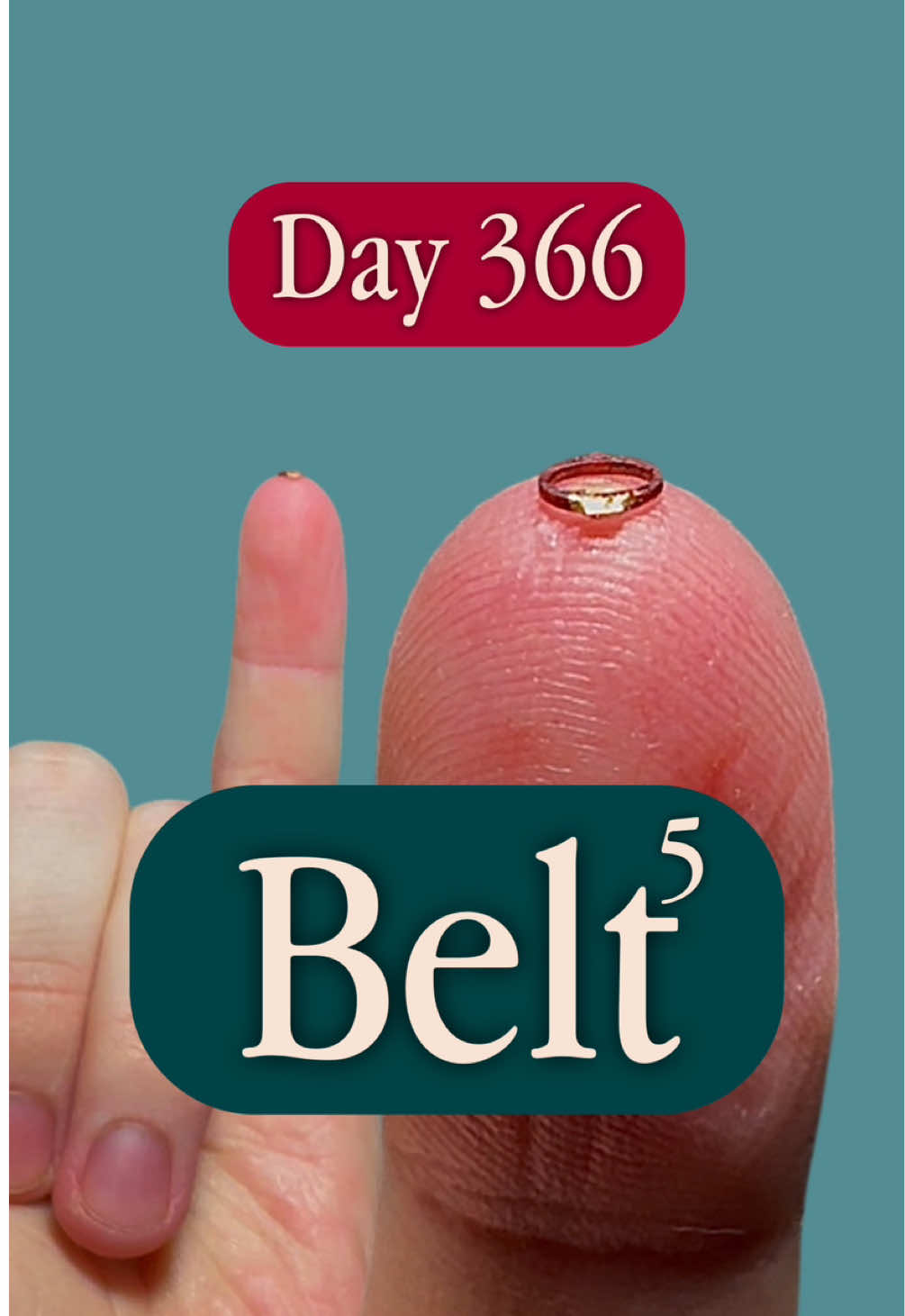 Day 366: Belt^5