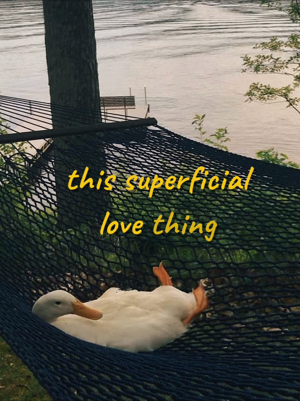 #superficiallove #lyrics #liriklagu 