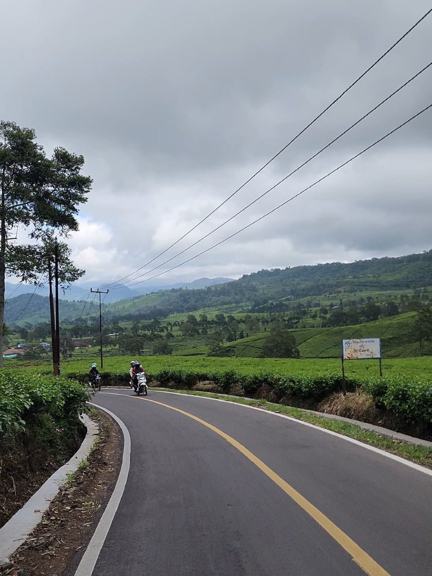 📌 : PERKEBUNAN TEH RANCABALI #Tahun2025 #Ciwidey #bandung 