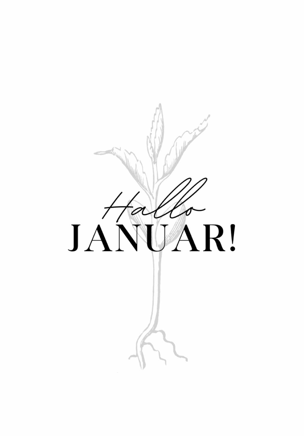 Willkommen zu meiner Aussaat-Serie: JANUAR 🌱 Ein neues Jahr hat begonnen und das bedeutet für uns, dass wir die ersten Pflanzen im Haus aussäen können. Ich nehme euch jeden Monat bei meiner Aussaat mit, damit ihr nichts verpasst. Für den Januar steht folgendes bei mir an:  1. Artischocken  2. Auberginen  3. Chilis  4. Physalis 5. Löwenmäulchen 6. Levkojen Ich freue mich dieses Jahr ganz viel Obst, Gemüse und Schnittblumen mit euch anzubauen! 👩🏼‍🌾 #aussaat #gemüseanbau #gemüsegarten #gemüsebeet #gemüseanzucht #anzucht #januar #january #gardening #blumen #flowers #garteninspirationen #garden #chilis #aubergine  #artischocken #physalis #setzlinge #seeds #seedlings #samen #designablehome