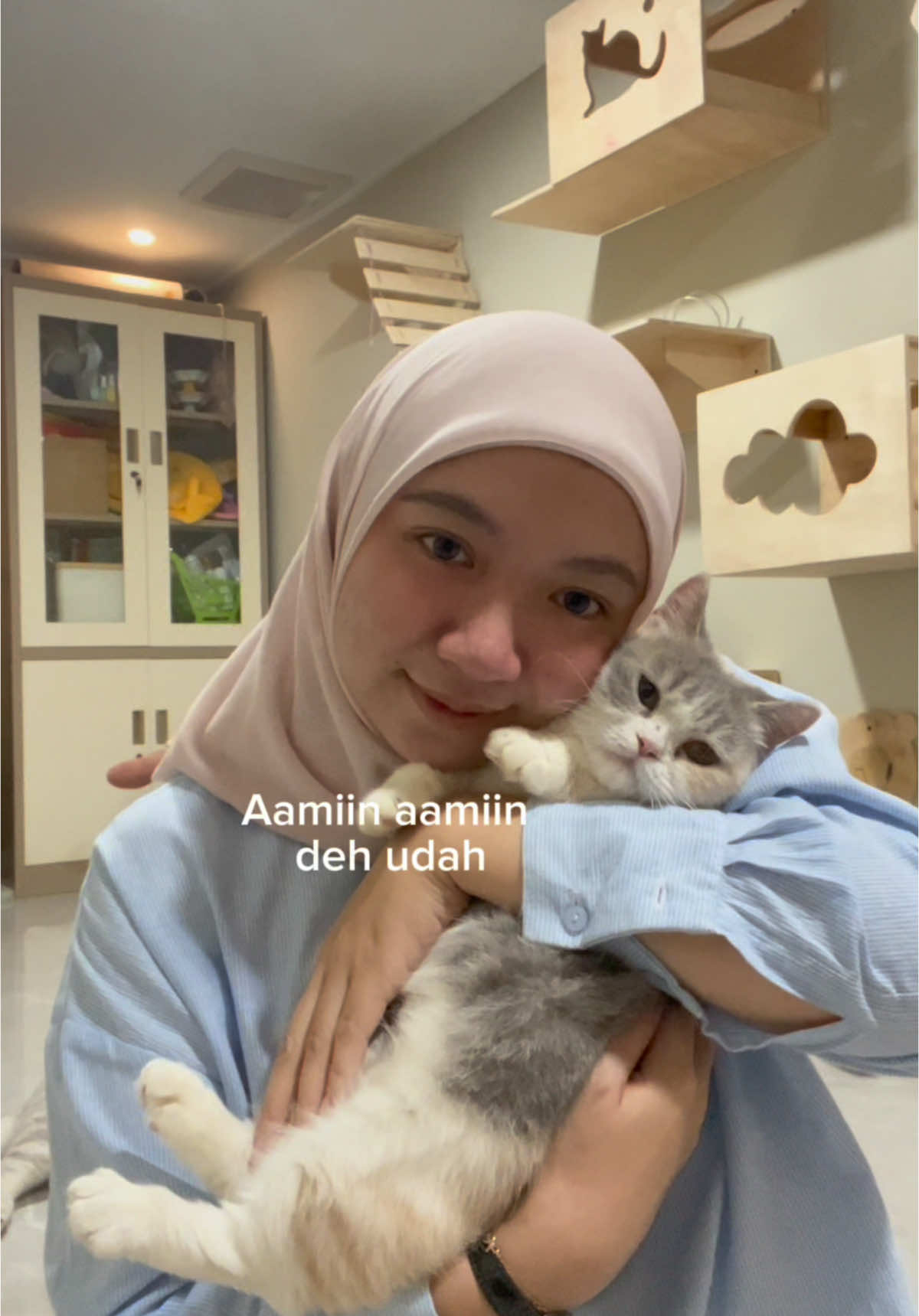 UPDATE IBU CACA KAKAK APENG DAN APUNG ! Video pertama di 2025!🙏🏻✨🌷🤍 #adayinmylife #catsoftiktok #fypシ゚ #cat #catslovers #fypシ゚viral #catsmoves @CACABROTBROT 