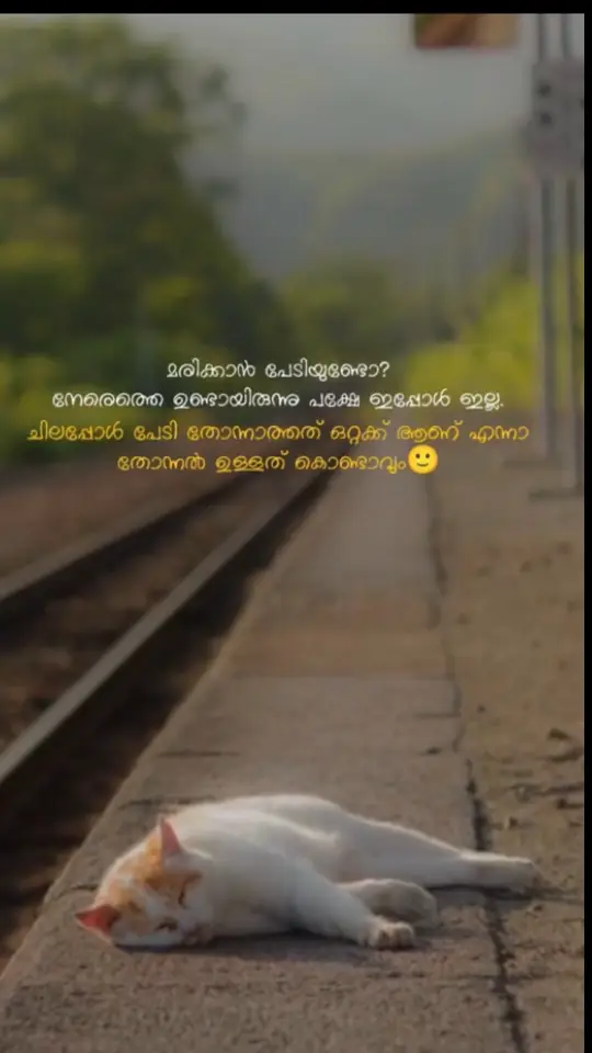 #foryou #foryoupage #sad #malayalam #njanparajithan 