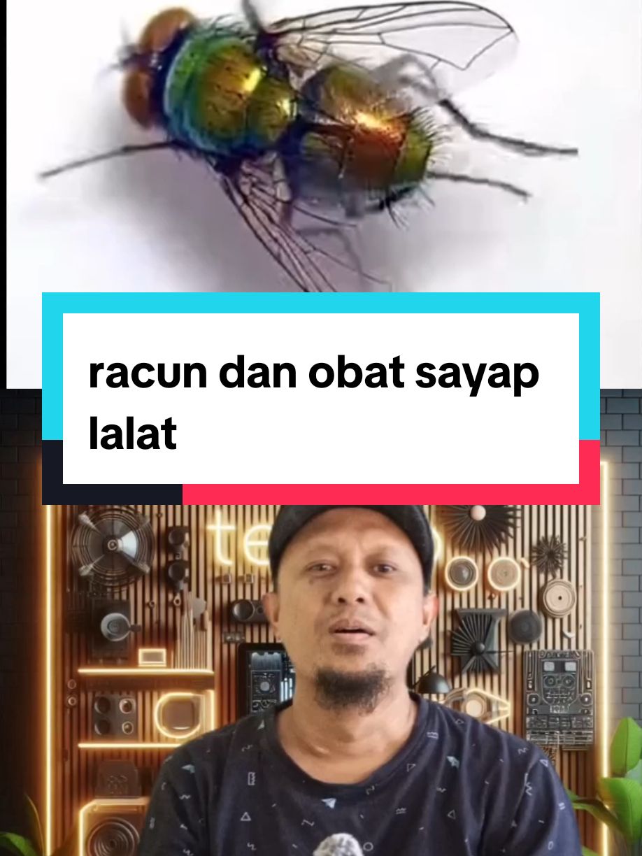 Sumber : Al-Andalos, youtubecrash #teknologi #teknoyogi #eksperimen #penelitian #ilmuwan #islam #haditsnabi #keajaibanislam  #lalat #obat #racun #penawar 