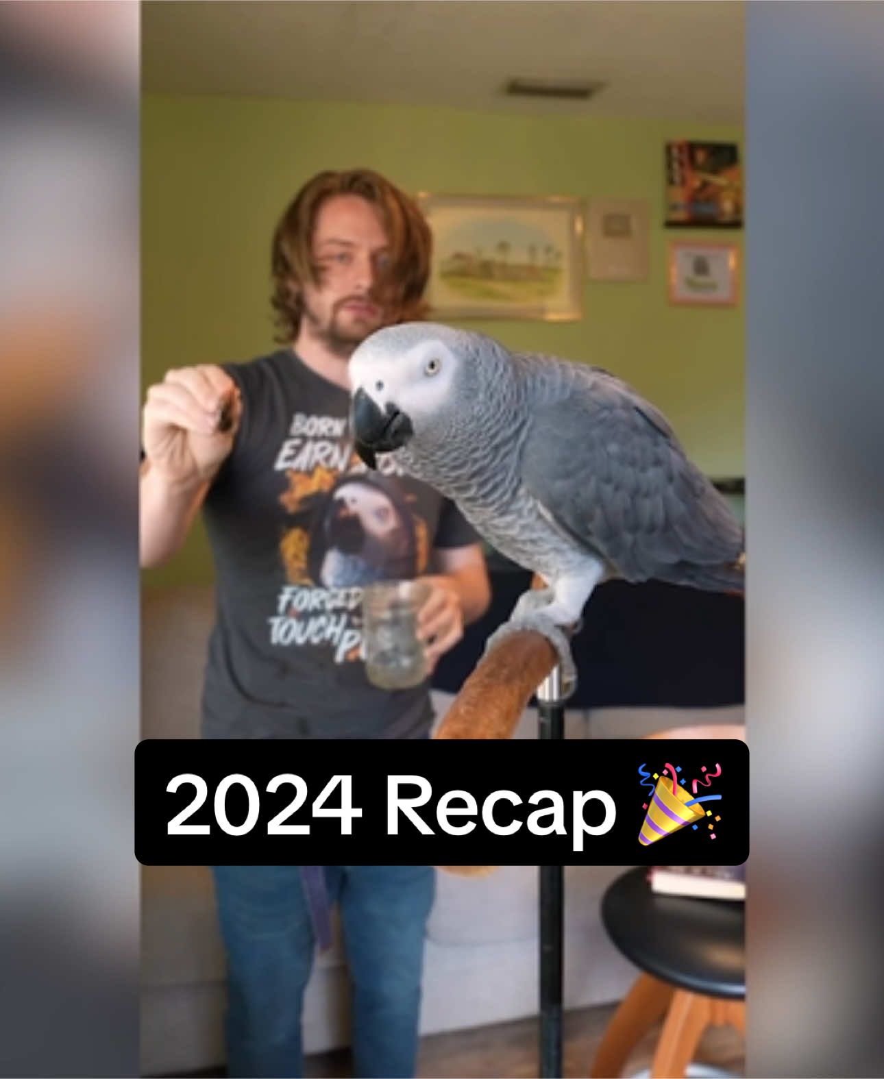 #2024recap #parrotsoftiktok #talktoanimals #africangrey 