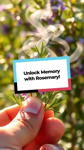 Unlock Memory with Rosemary!... #MemoryBoost #NaturalRemedies