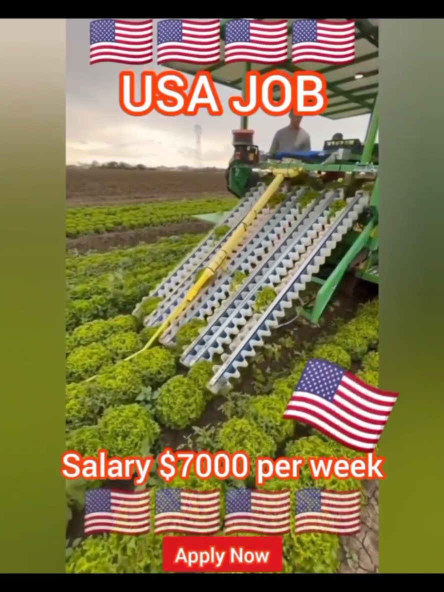 working workers..  #USA #trump #usajobs  #USAvisa #USAtiktok #usawork  #usatiktok  #tiktoktiktokusa  #tiktoktiktokUSA #foryou  #foryoupage #tiktok #jobsearch  #500k #100k #1million #2025 