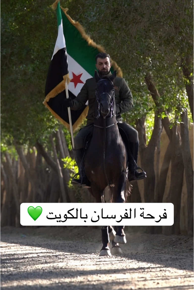 #حمد_اللاحم #خيل_عربي_اصيل #خيل_عربي #الكويت #سوريا 