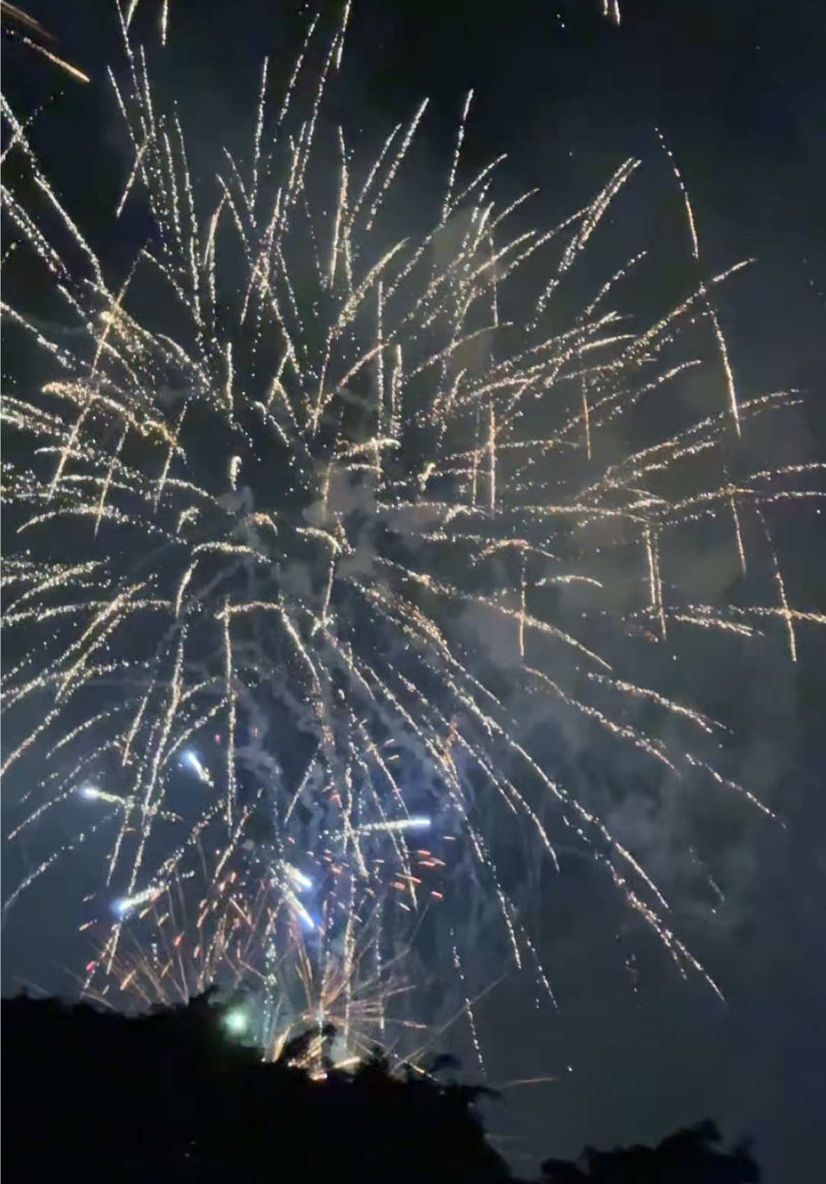 Happy New Year from Oahu, Hawaii! 🎉🤙🏼🌺 No place will ever beat the fireworks in Hawaii! 😍👏🏼✨🎆🎇 Cheers to 2025! #firework #fireworks #fireworks2024 #newyear #2025 #oahu #hawaiifireworks #oahufireworks 