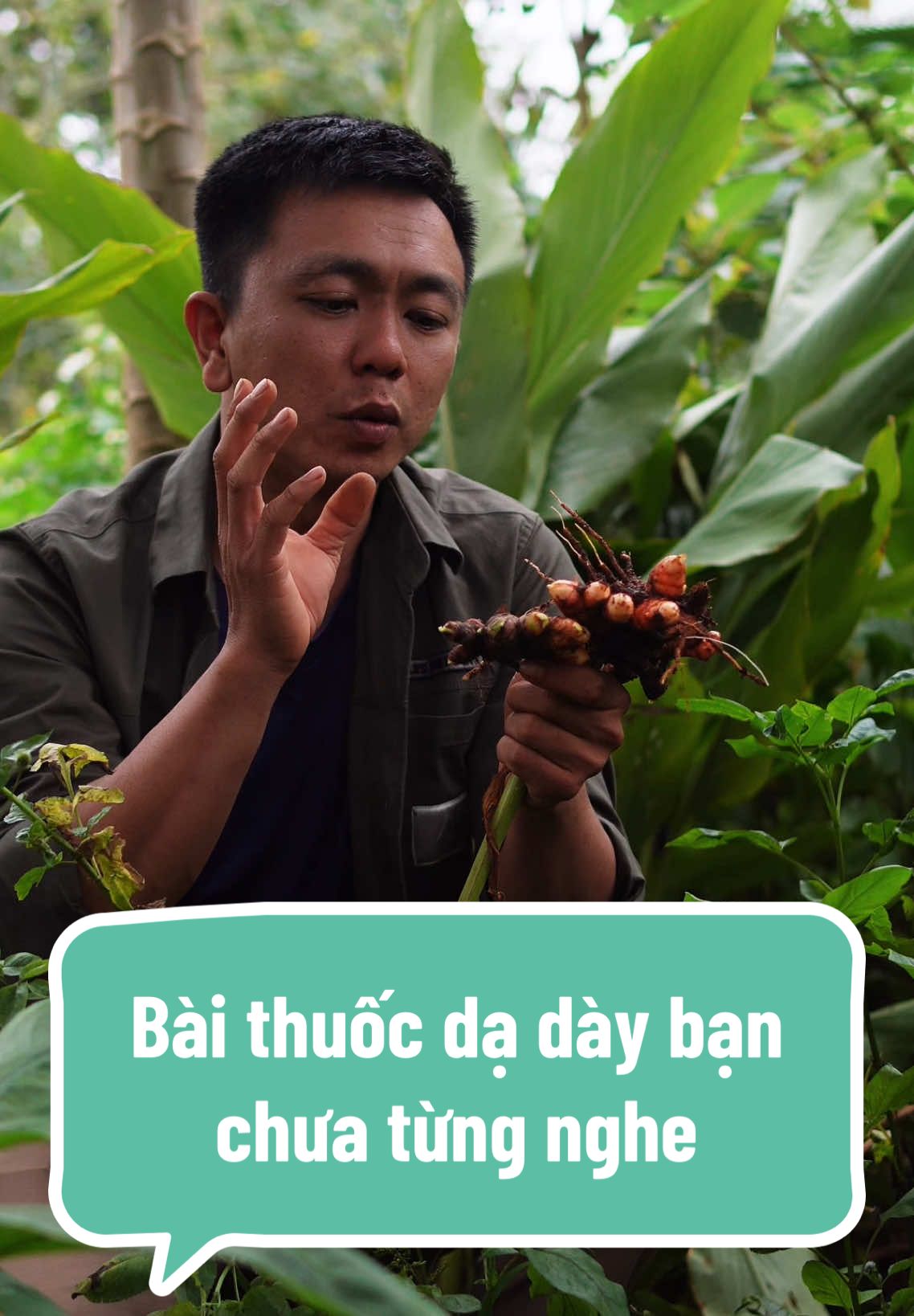 Bài thuốc hỗ trợ đau dạ dày , trào ngược , viêm loét dạ dày tá tràng#minhan #minhanenergyfood #baithuocdangian #daday#traonguocdaday 