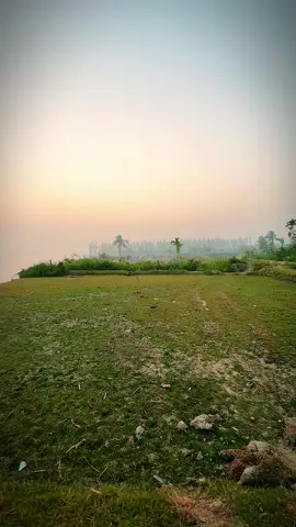 Bangladeshi village natural video #noakhali #natural #villagelife 