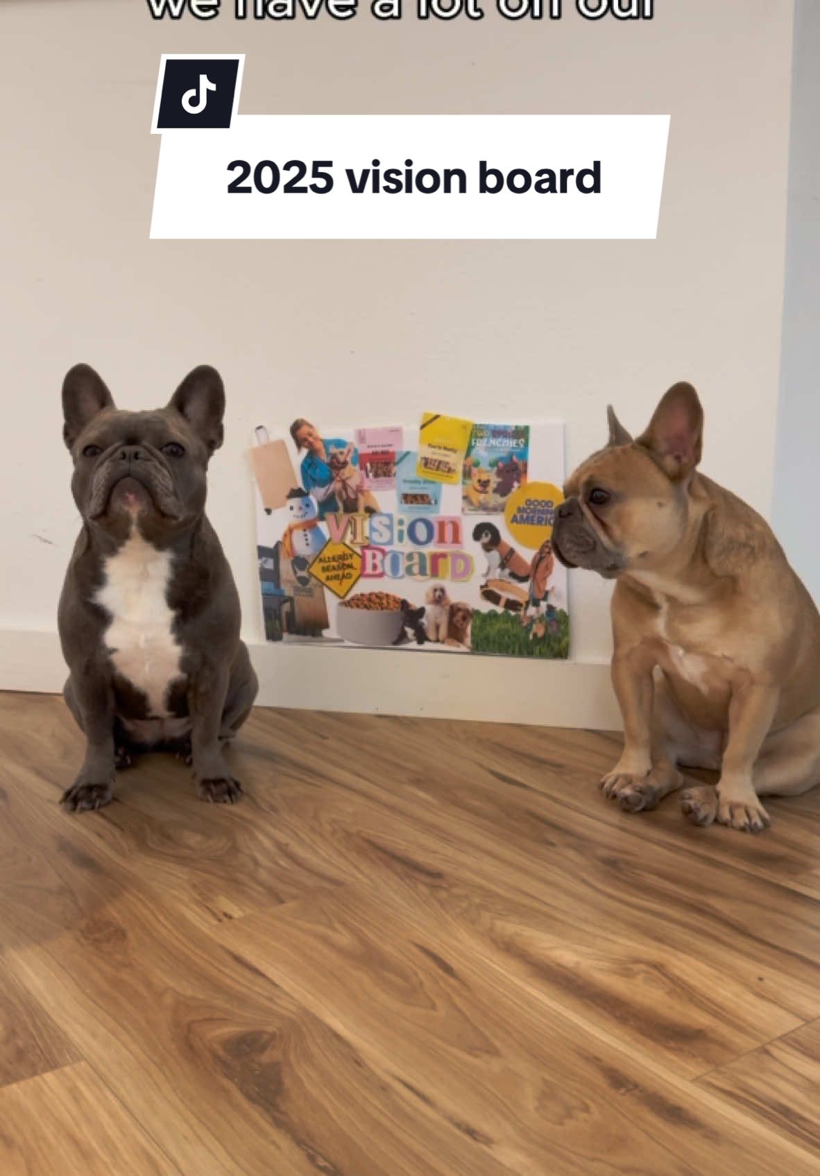 What’s on your (or your dog’s) 2025 vision board? #lavendrandlatte #2025visionboard #happynewyear 