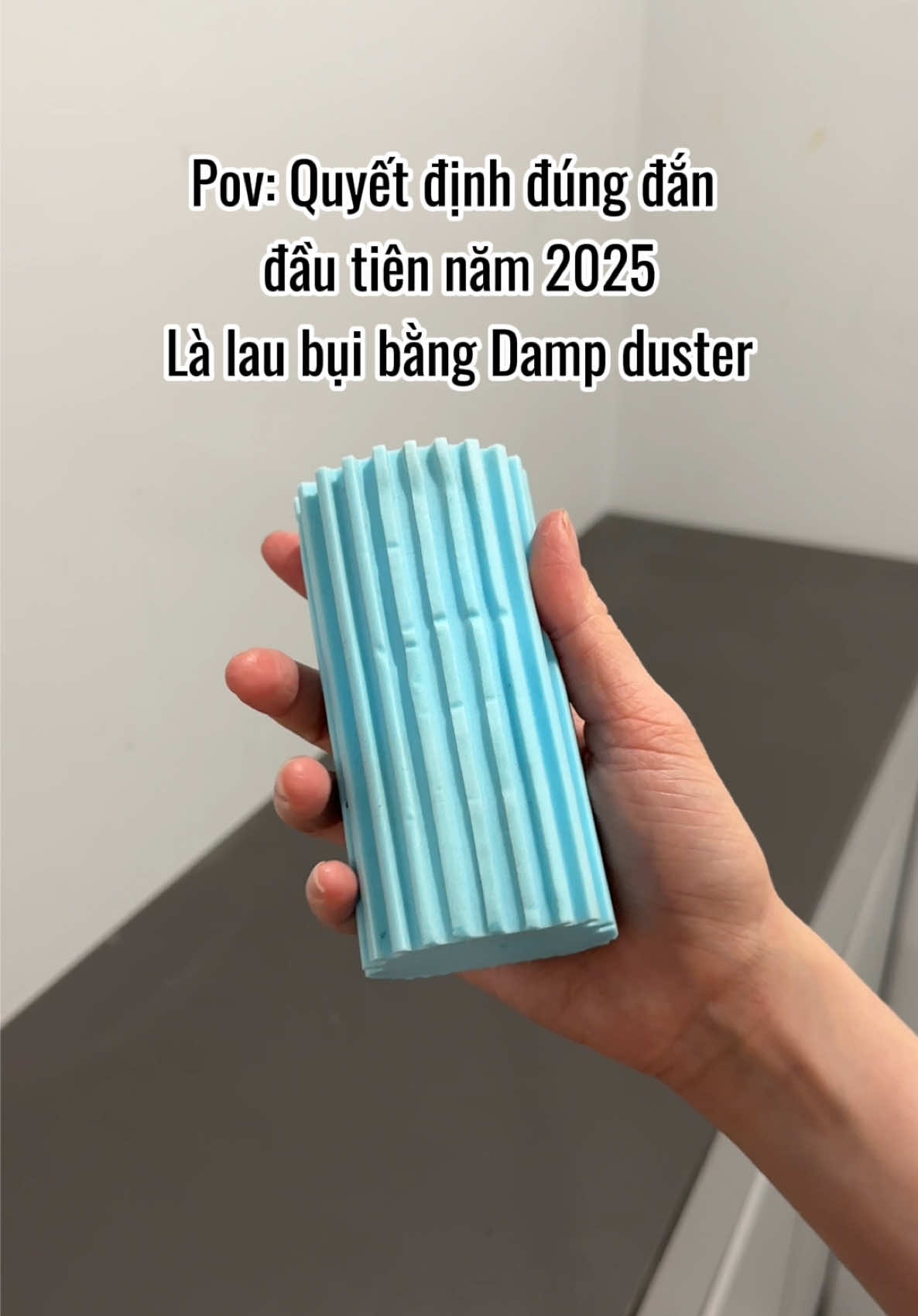 Niềm vui đơn giản đầu năm mới 🥹 Scrub daddy về VN là tui múc liền ✨🤌🏻 #newyear2025 #scrubdaddy #dampduster #donnha #donnhadontet 