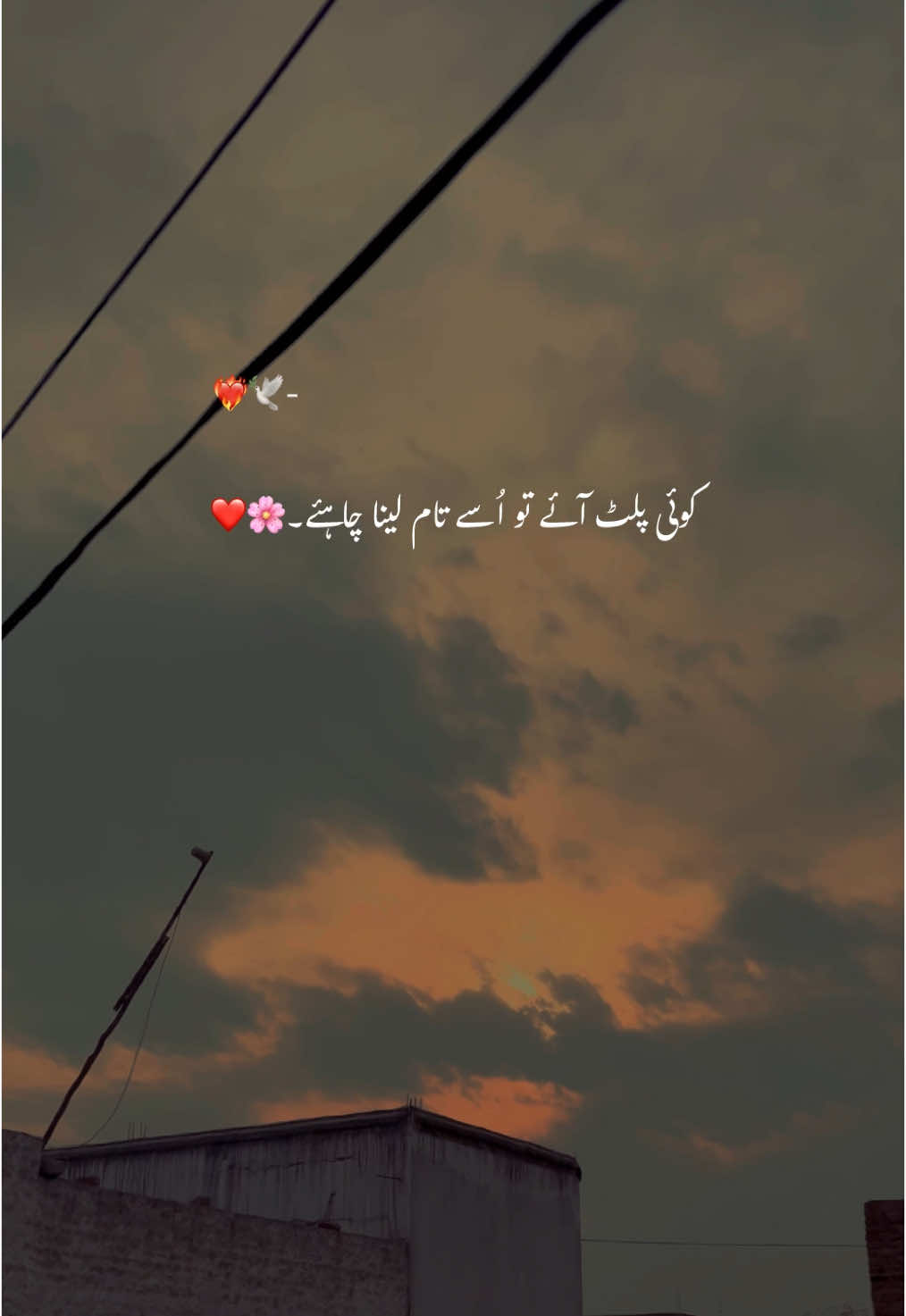 بس ایک تیرے لوٹ آنے کی دیر ھے جاناں 🥺🌸🕊️🦋🫶🏻۔  . . . #hehe_afridy #foryouofficialpage #unfreezemyacount 