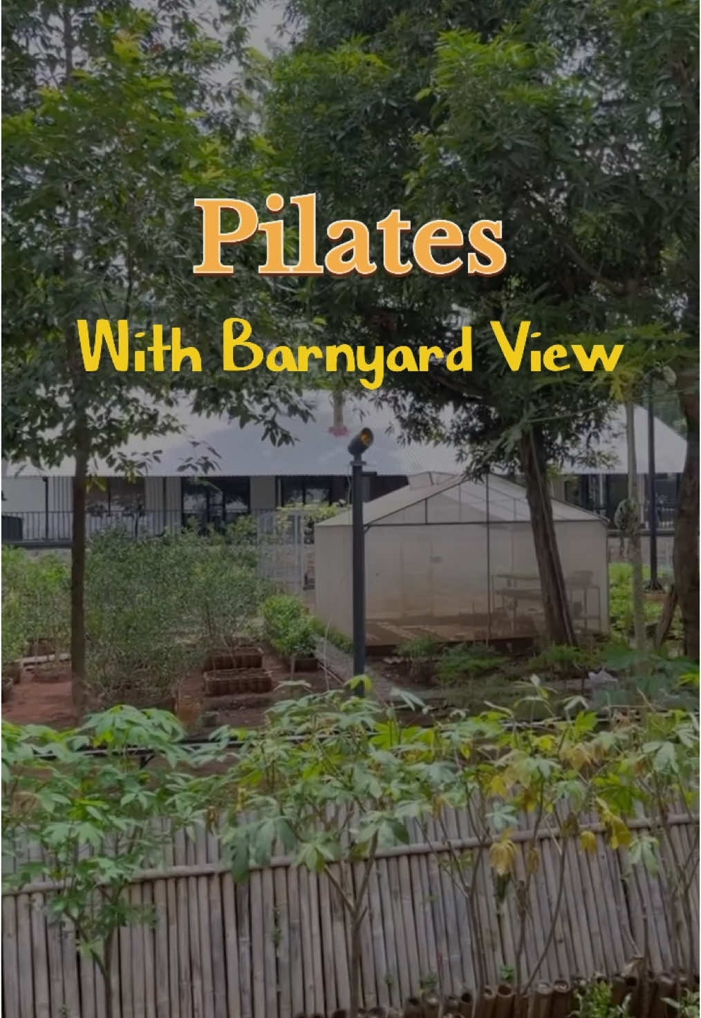 Pilates with Barnyard view 🍀 #pilates #pilateslovers #pilatestiktok #pilatesjakarta #pilatesvideo #fyp #fypシ @Budiartiannisa 