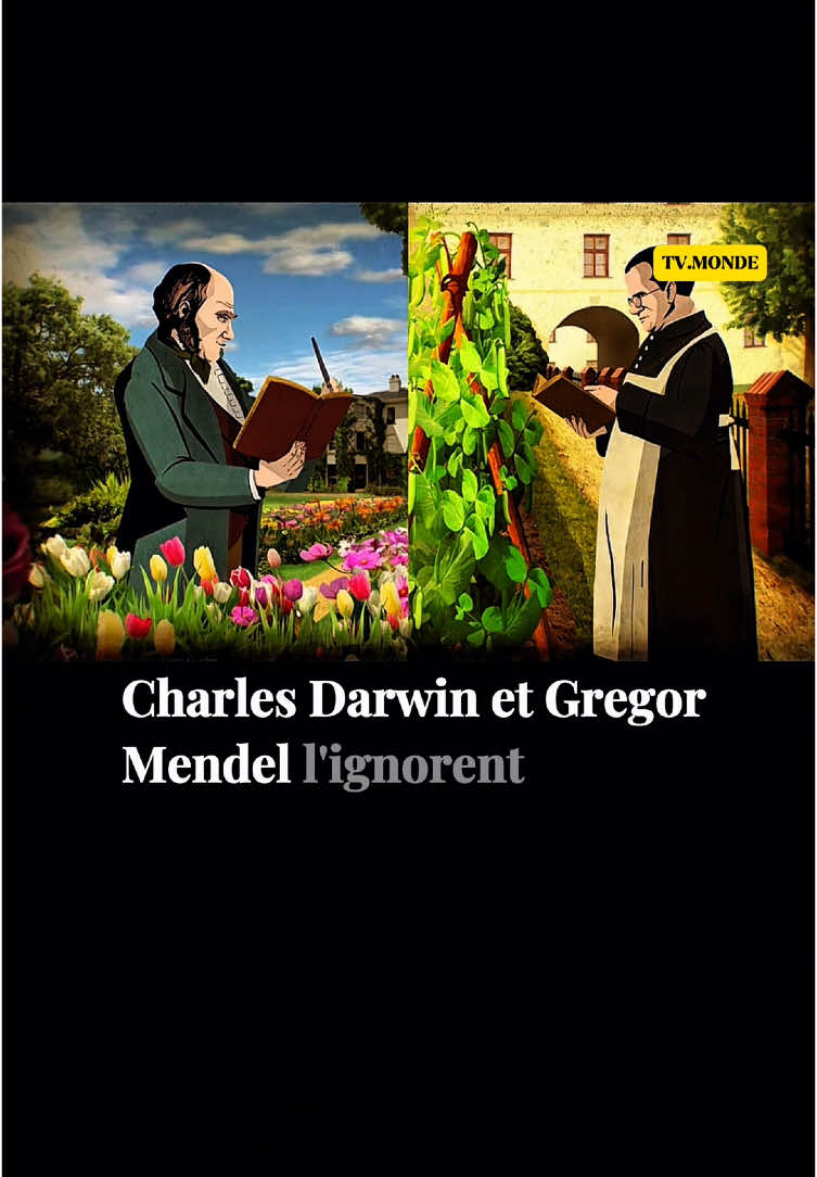 Le monde le reconnaîtra 35 ans après sa mort. Gregor Mendel et les petits pois 🫛 part.4/4 #decouverte #reflexion #science #univers 