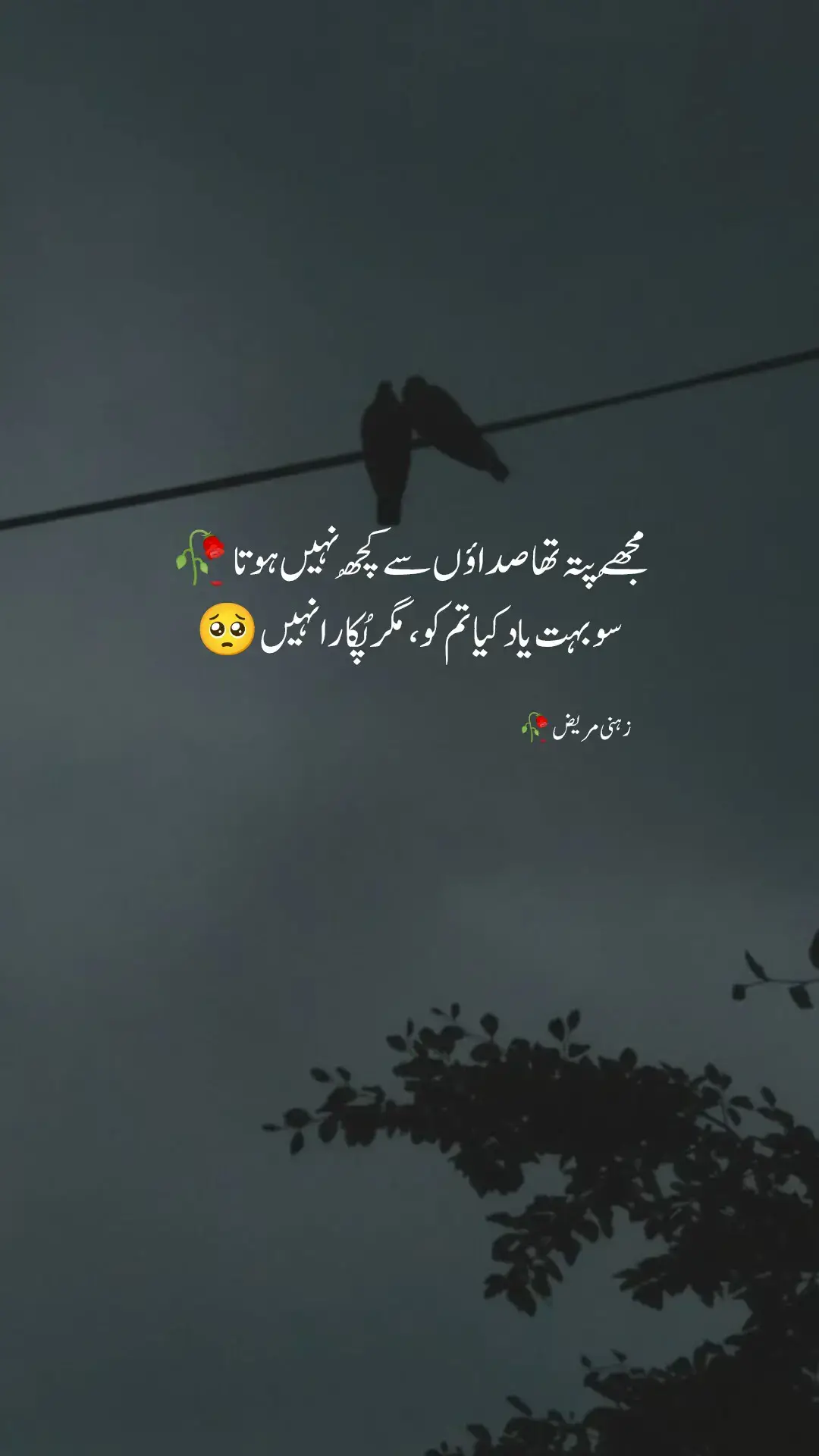 Line's 🥺💔 #kingwrites770 #1mviews #poetry #1m #status #unfreezmyaccount #viral #زہنی۔مریض🥀 #viewsproblem #videoviral #foryou #foryou #foryoupage #fyp #thankstiktokteamloveyou🥰 #dontunderreviewmyvideo #growmyaccount @🌹🇸 🇦 🇳 🇾 🇮 🇦 🌹 