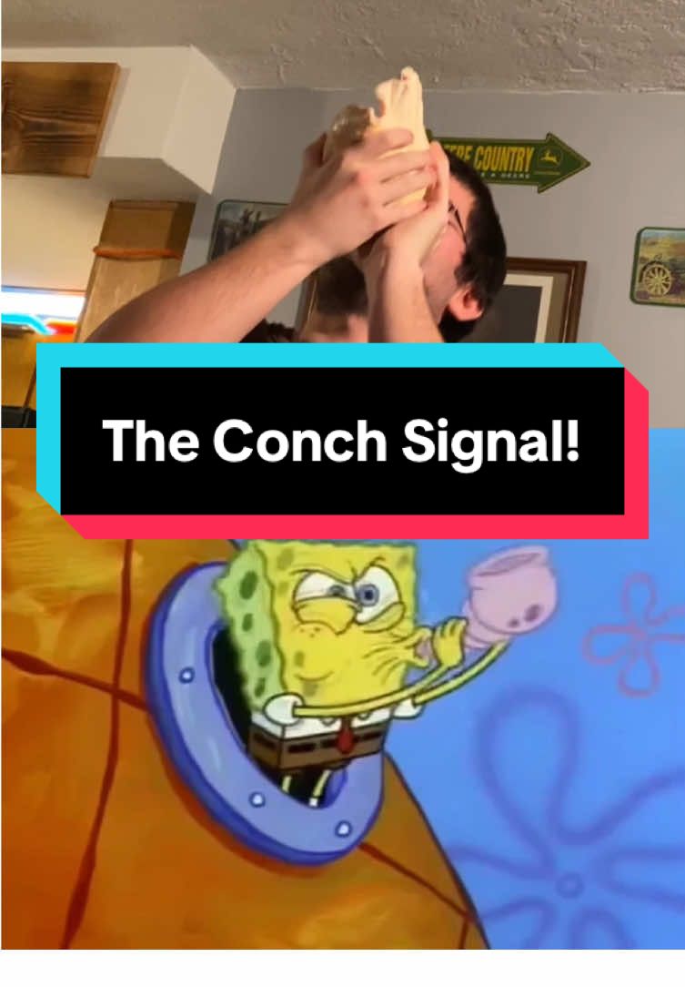 ✨5 years ago this man attempted to call for Mermaid and Barnacle Boy. Let’s give him some love and support! #memes #spongebobmeme #funnytiktok 