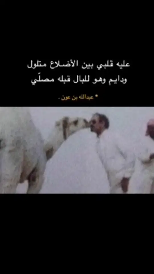 عبدالله _بن_عون#ابيات_شعر #fypシ゚viral ………