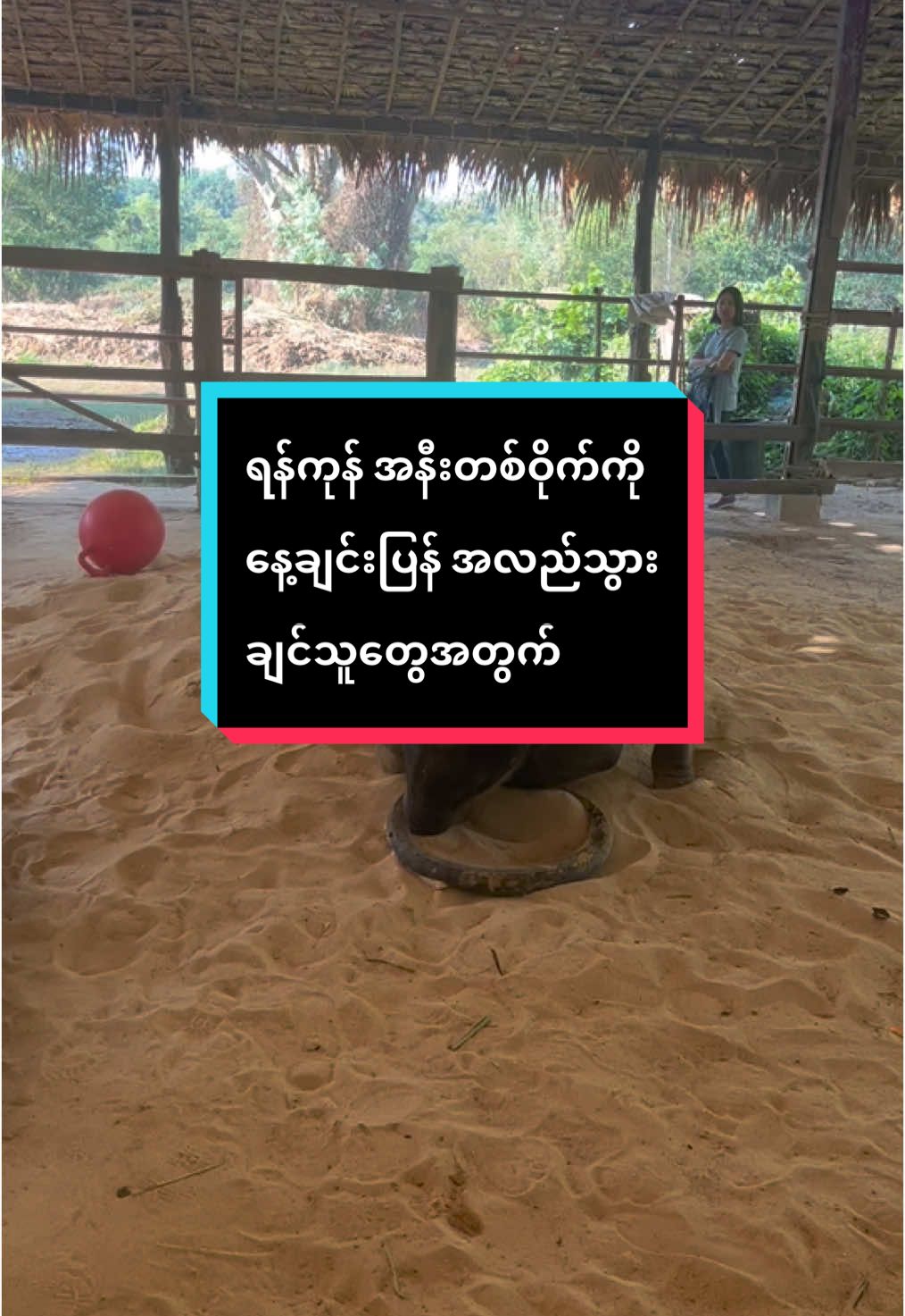 ရန်ကုန်အနီးတစ်ဝိုက်ကို နေ့ချင်းပြန်အလည်သွားချင်သူတွေအတွက် #hsu_diary #ဝင်္ဂဘော်ဆင်စခန်း #elephantcamp #elephant #twins #39milesအမြန်လမ်း #tiktokmyanmar #fyp #ရောက်ချင်တဲ့နေရာရောက်👌 