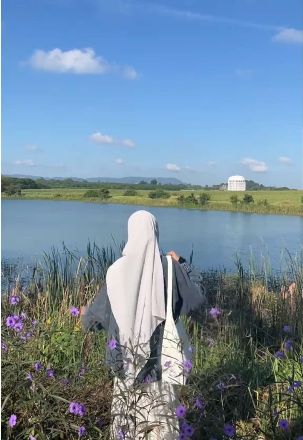 MashaAllah perthlis view rn 🥹🤍 #ladangkenaf #nature #perlisinderakayangan #perlis  