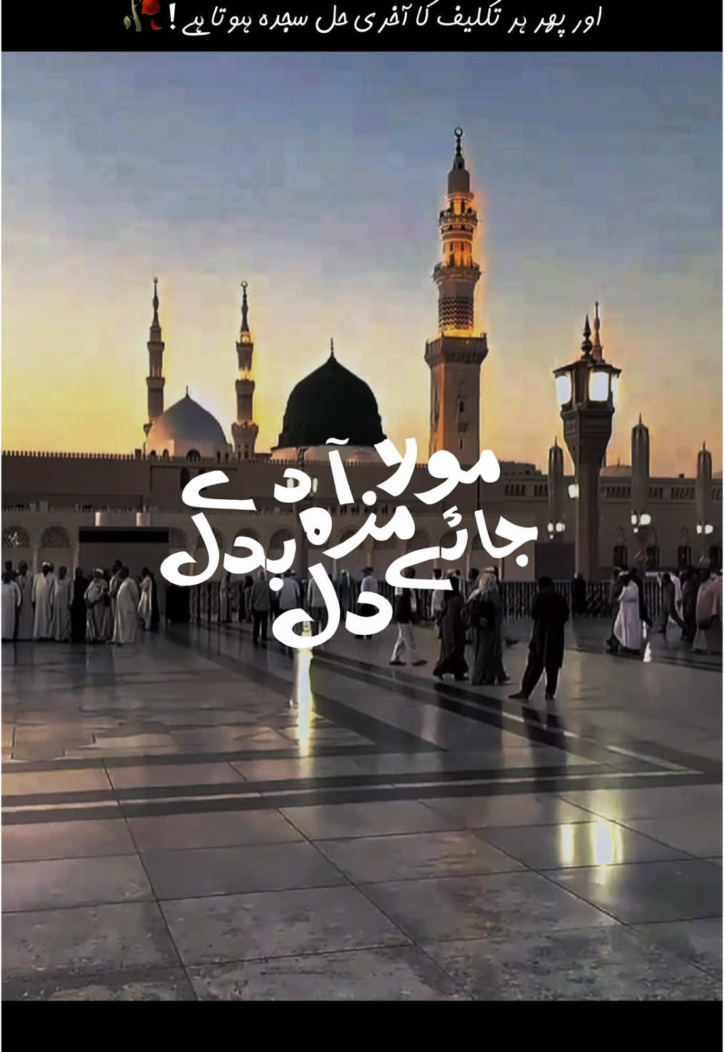 اور پھر ہر تکلیف کا آخری حل سجدہ ہوتا ہے🥀 . . . #fyp #aesthetic #aesthetics #islam #islamic_video #foryou #foryoupage #trendingvideo #trending #islamic #naat #lyricsedit #withoutmusic #naatsharif #naatstatus #madina #vocalsonly #makkah 