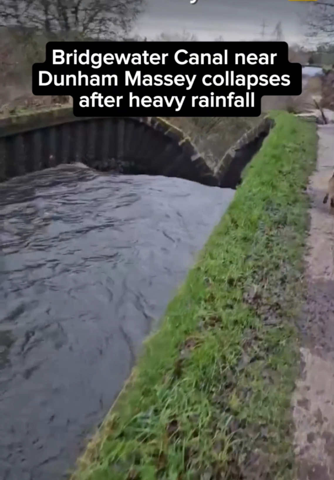 Dramatic video footage captures how a section of the Bridgewater Canal has collpased after a night of heavy rain.  One side of the canal embankment imploded near the village of Little Bollington on the edge of Dunham Massey Park. Daniel Kaye, from Timperley was out walking his Alsatian, Tex, at about 9am today when he came across the scene. He said: 