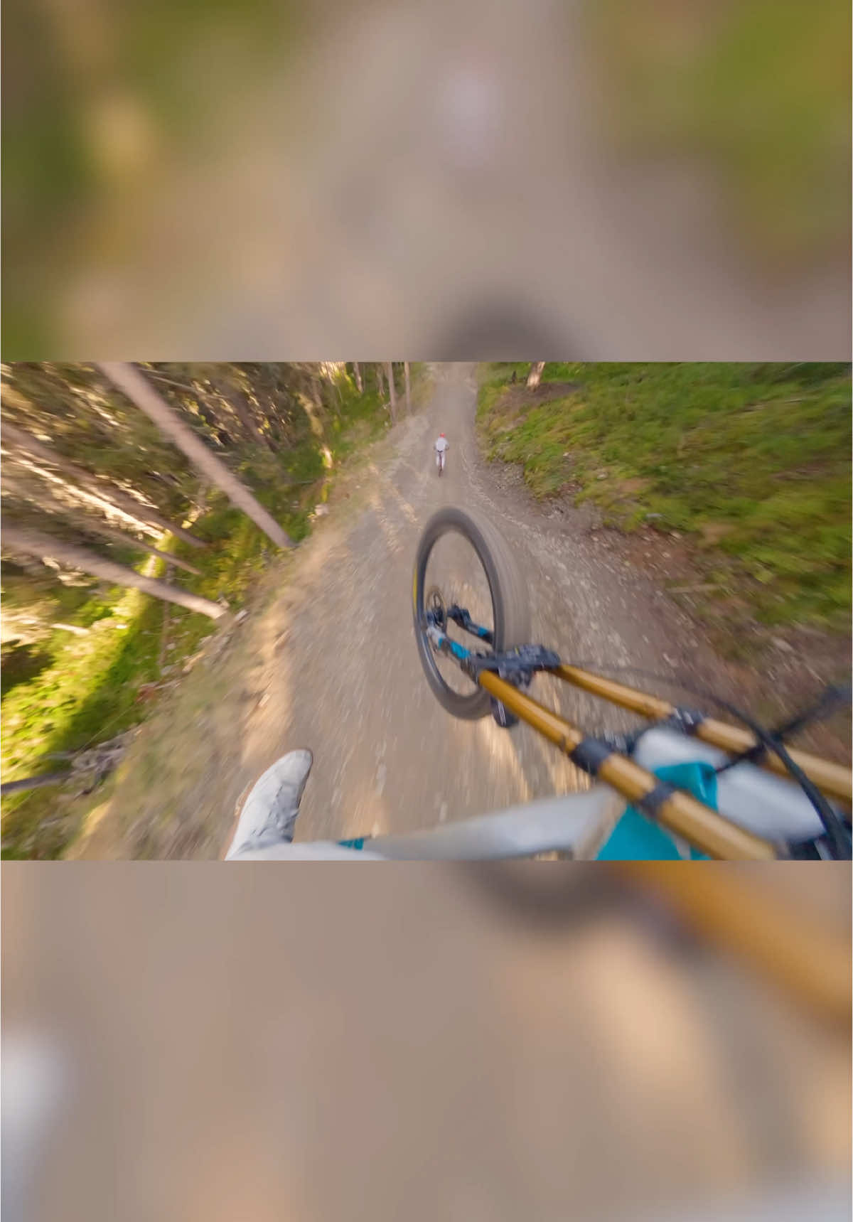 So many memories on this track 😍🌄  ______________________ @downhillmirky  @bikeparkleogang  #downhill #dh #miss #it #sunny #day #Summer #Love #passion #riding #ride #my #bike #mtb #riding #austria #leogang #yt #tues #gopro #hero 