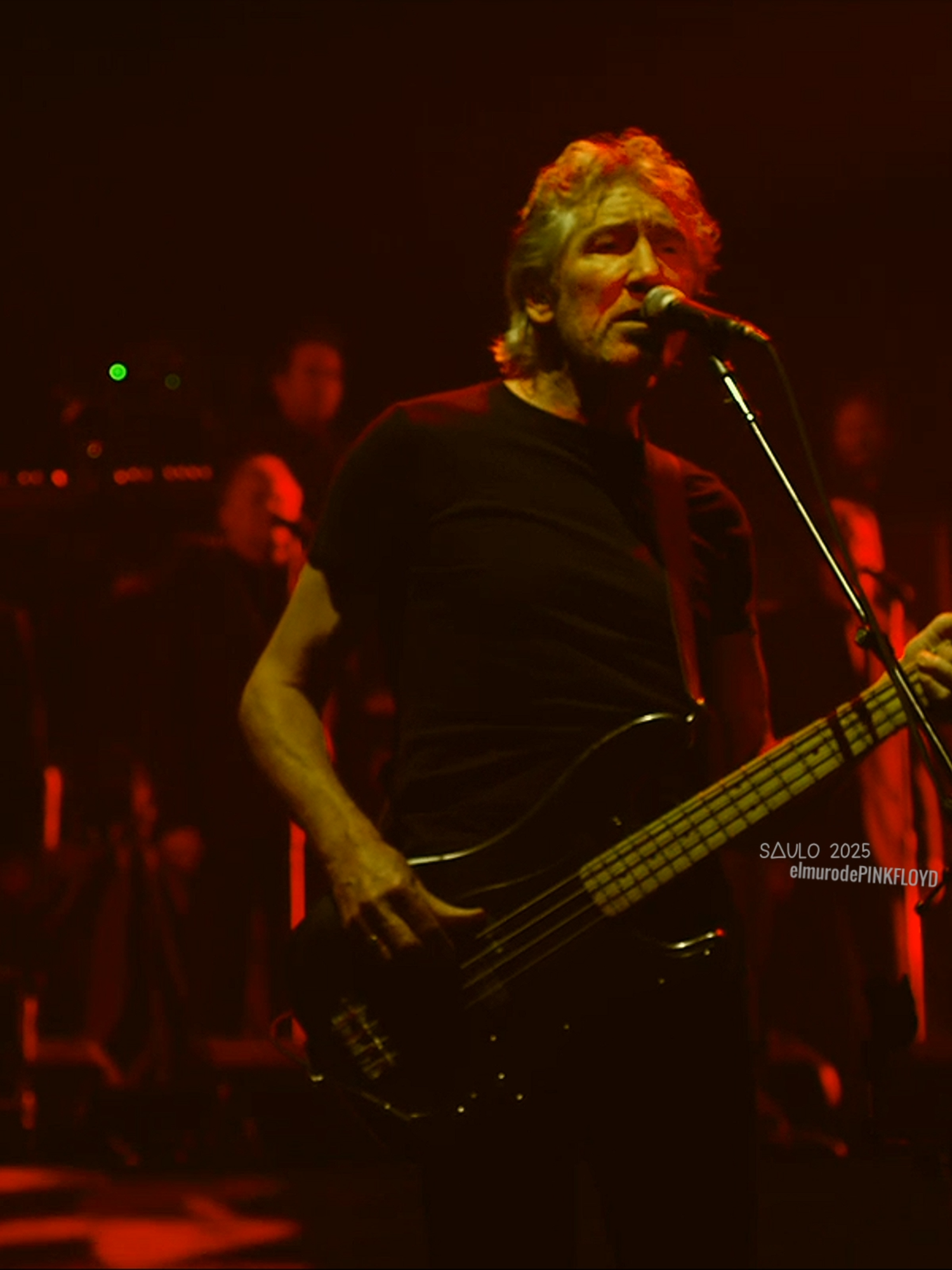 Another Brick In The Wall Part 1 Pink Floyd #pinkfloyd #rogerwaters #davidgilmour