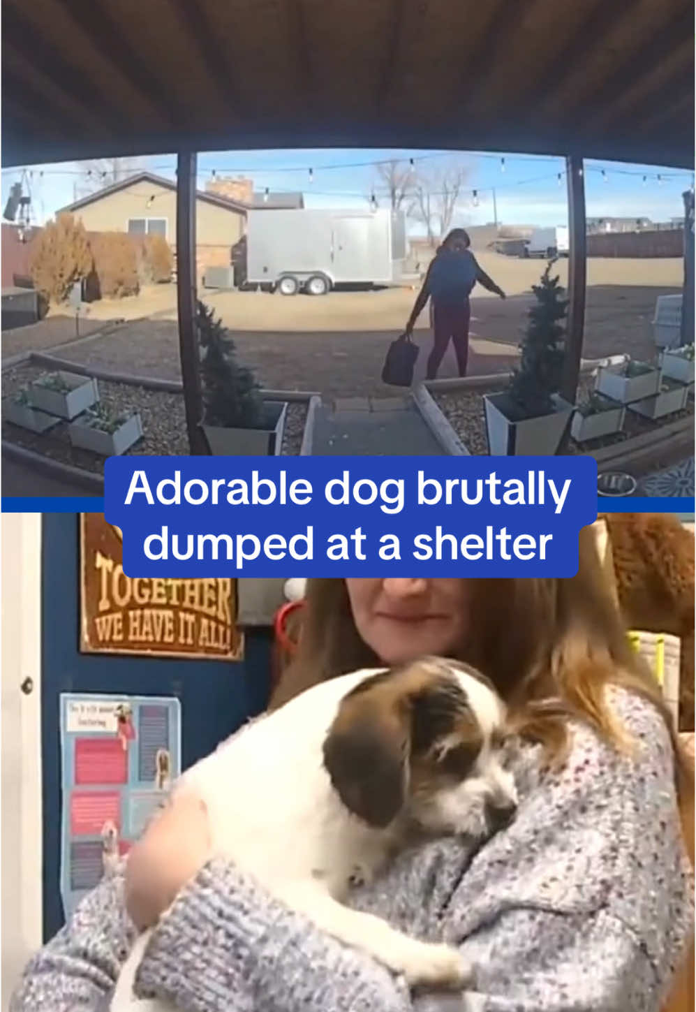 This is the heartbreaking moment a woman tossed a dog trapped in a carrier bag at a Colorado animal shelter before abandoning the poor pup on the steps. the manager of the animal discovered the stranded animal 30 minutes later and brought him inside to safety. When she reviewed the surveillance video, she was utterly horrified. Since the incident The dog, named Gulliver, has been on the road to recovery from his traumatizing endeavor. Read more on DailyMail.com 🎥Fox5 #dog #colorado #woman #animal #sad #news 