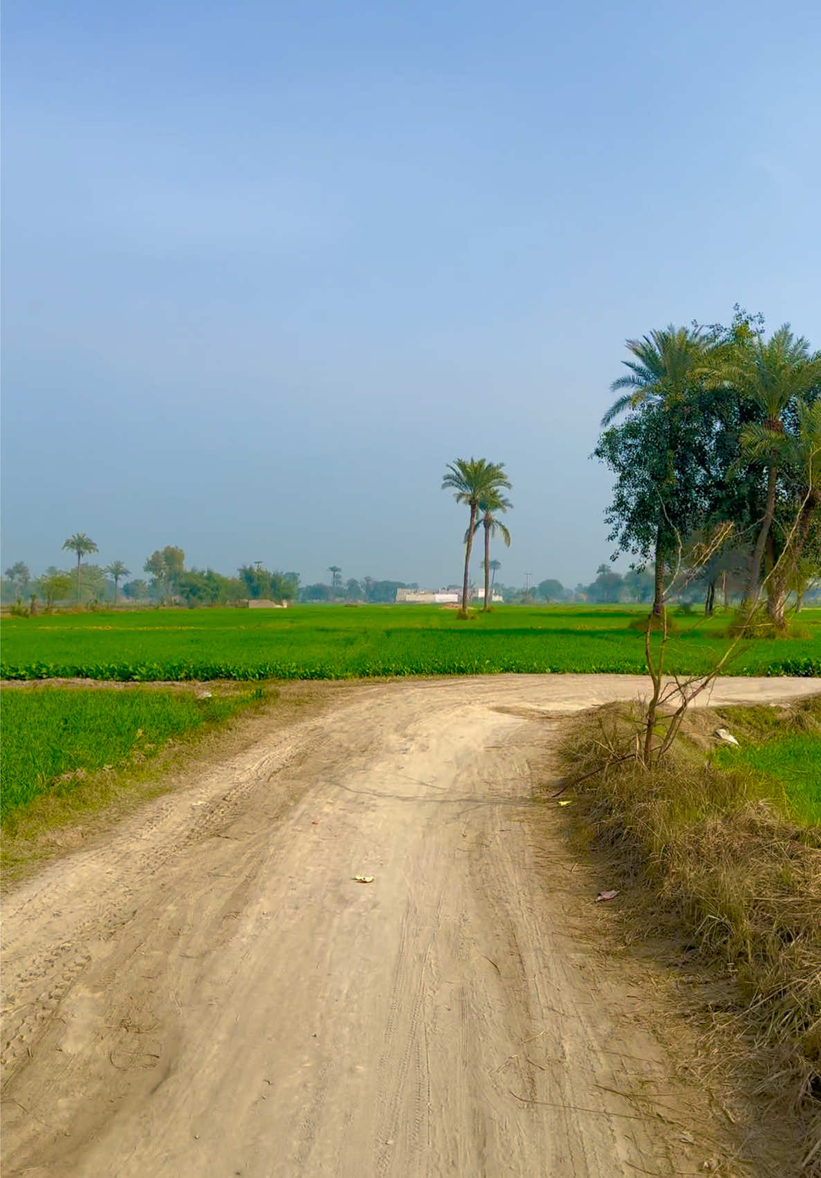 سکون بھرا ماحول جس کے لیے دنیا ترستی ہے #unitedkingdom #پاکستان #villagelife 