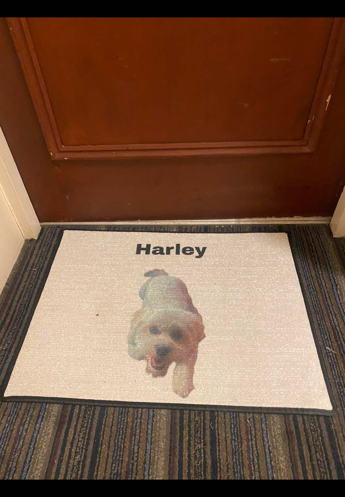 Custom Pet DOOR MAT FOR YOU (in action)! Here to add a touch of character into any home for a long time to come, this heavy duty custom floor mat takes on your designs and creates a stunning piece of home decor. Made with 100% polyester, each mat features a non-slip backing for keeping your steps safe. Your designs are printed in vivid detail from edge to edge. .: Material: 100% polyester .: Black trim .: Non-slip rubber backing .: One sided print Link in the bio