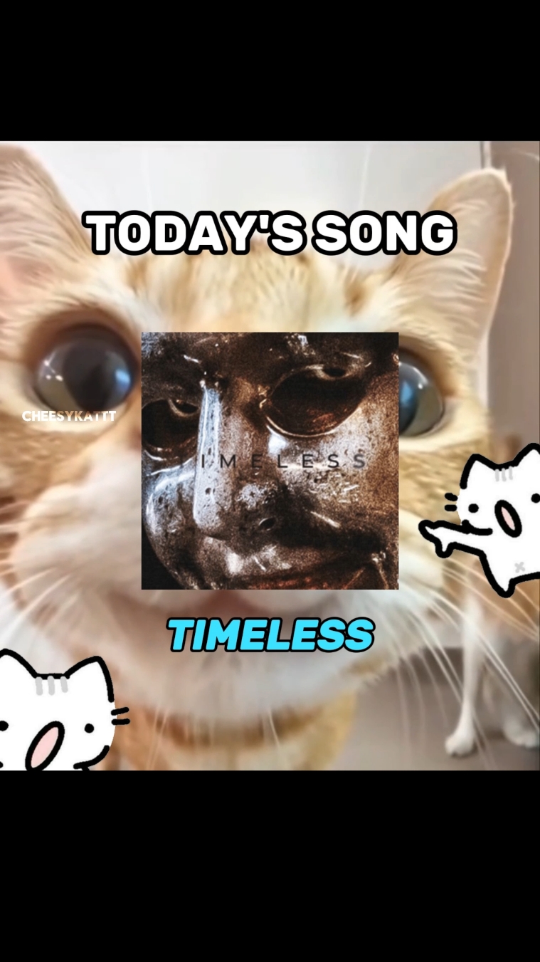 FIRST CAT EDIT OF THE YEAR 🗣 . . #fyp #catsoftiktok #catlovers #kitten #songoftheday #weeknd 