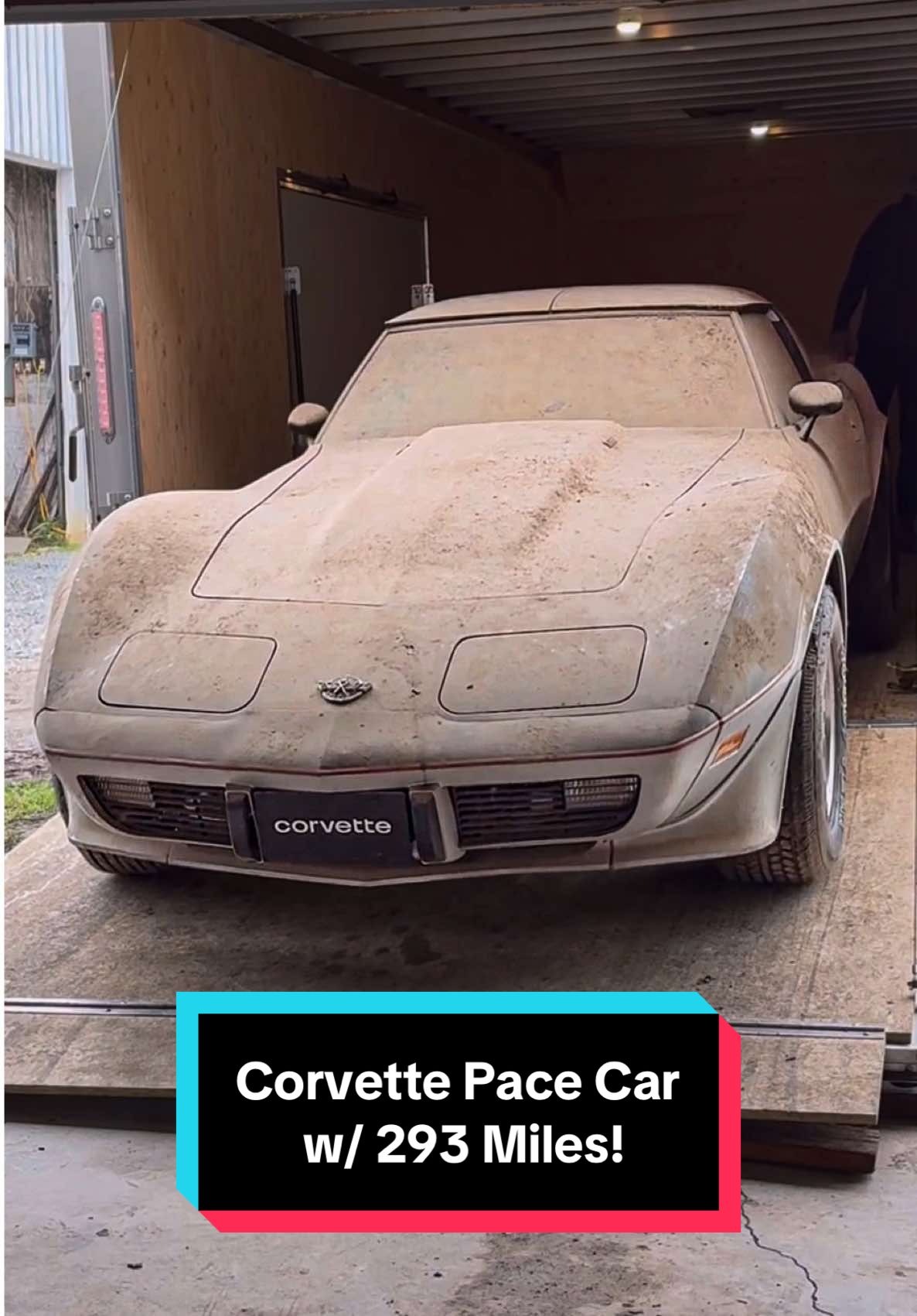 1978 Corvette Pace Car w/ 193 ORIGINAL MILES! #wddetailing #detailing #carwash #carcleaning #satisfying #satisfyingvideos #barnfind #fyp #abandoned #cardetailing #pressurewashing #asmr #trend #trending #asmrvideo #corvette 