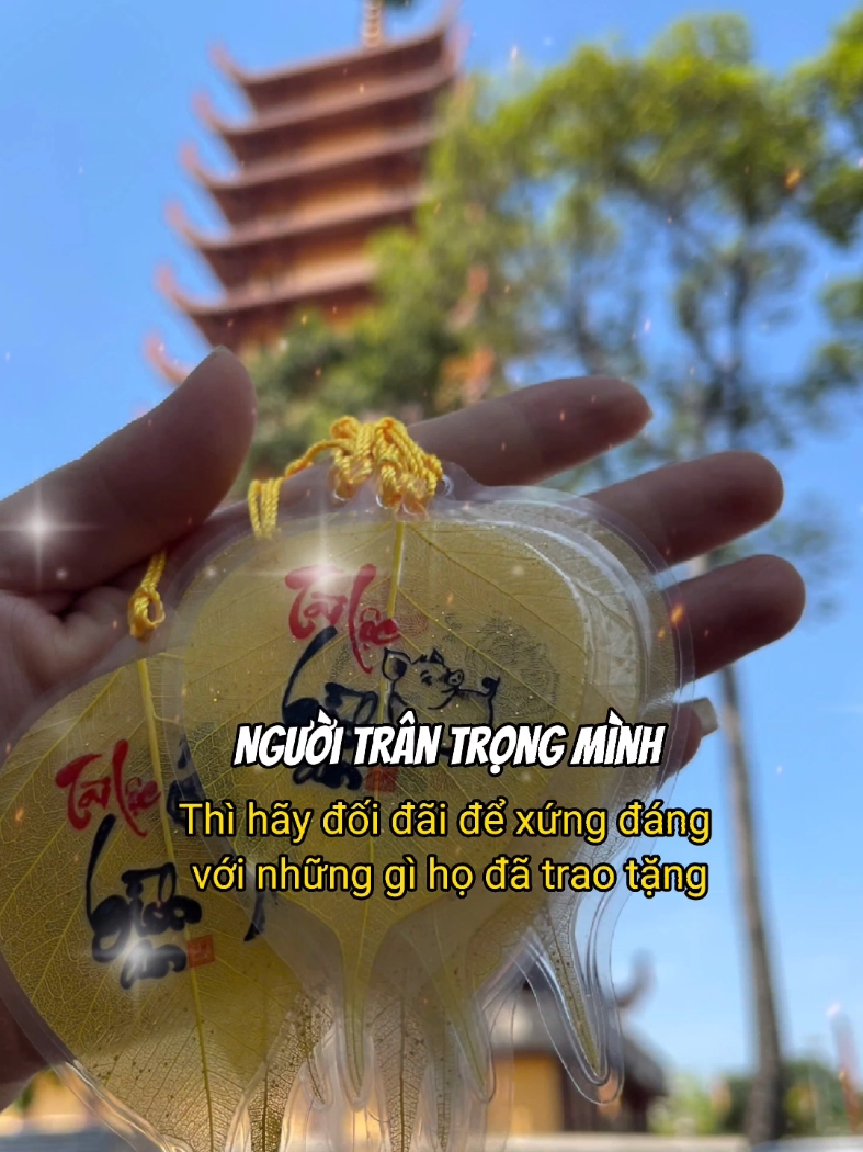 Người không trân trọng mình , cứ nhẹ nhàng lướt qua. #tet2025 #labodephongthuy #labode #tuoihoi #tamthienduyen 