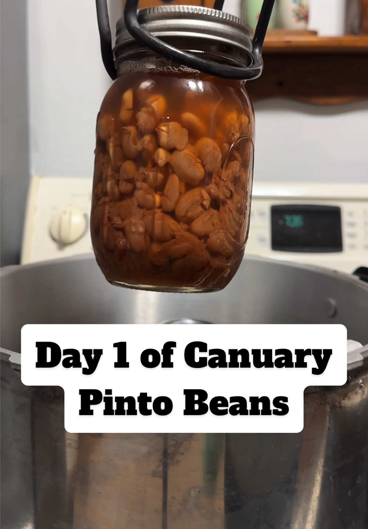 Canuary Day One- BEANS (pinto to be exact) #homestead #canningandpreserving #beans #foodpreservation #canningforbeginners #selfsufficient #selfsufficiency 