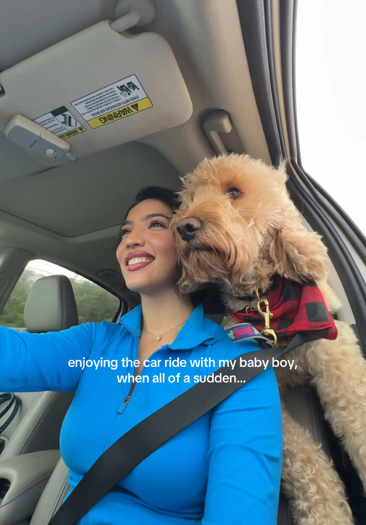 my heart’s in a puddle!!! 🥺 #amakeupfairy #goldendoodle #goldendoodlesoftiktok #goldendoodles #godlendoodlemom #furmom #furmomlife #dogcarride #carrides #relatablememes #relatablefunny #funnydogs #funnydogvideo #funnydogvideos #dogmomsoftiktok #dogmoms #latinacontentcreator 