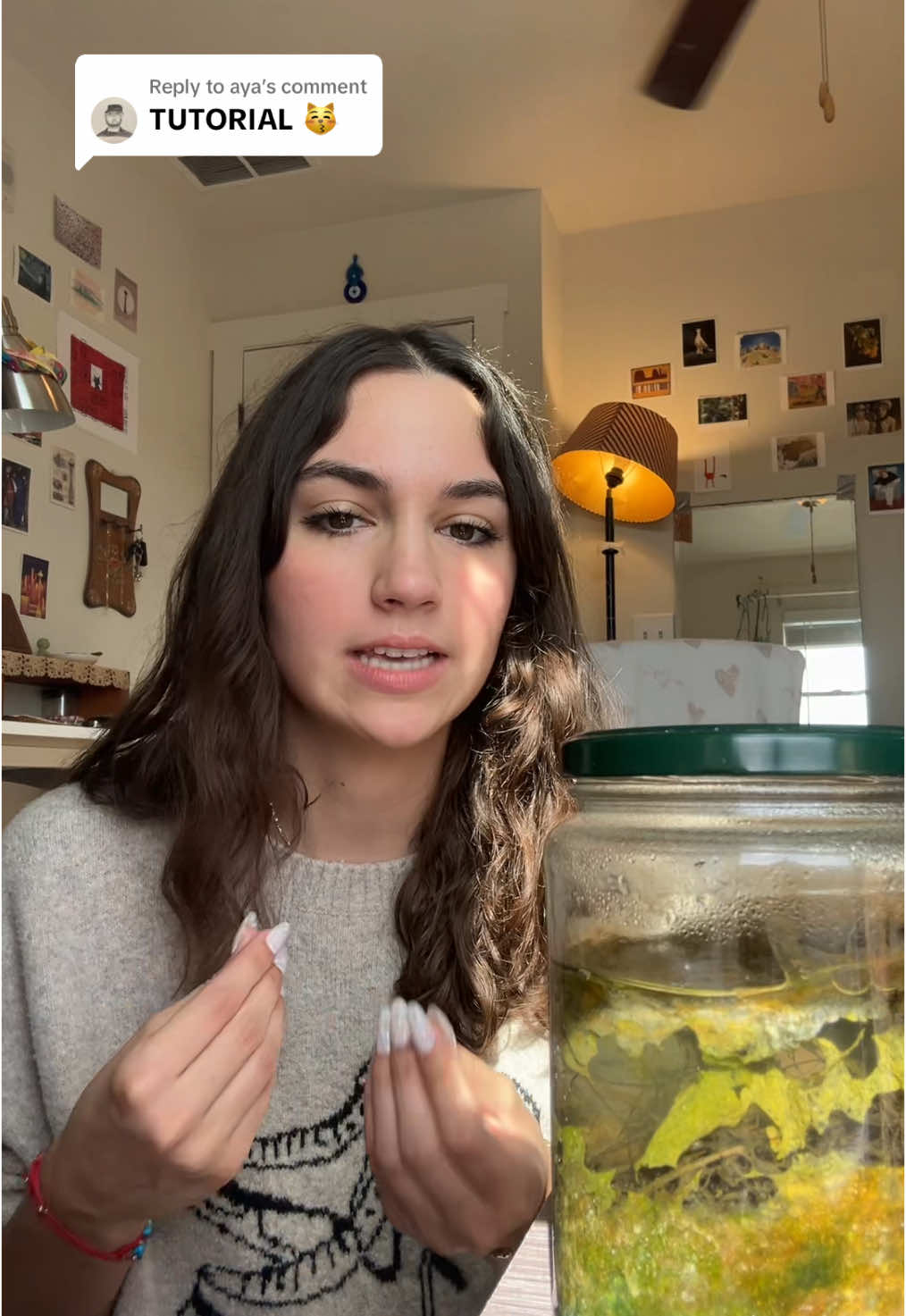 Replying to @aya ecosphere tutorial!! plus some info on my jar, the phases it went through, and how to make your own! #ecosphere #tutorial #ostracod #stem #biology #greenscreen 