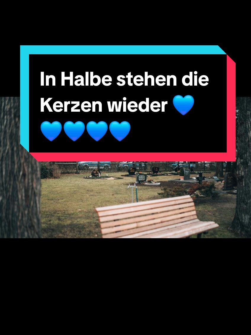 Die Polizei konnte uns  nicht aufhalten. Wir haben heute die Kerzen wieder aufgestellt.  #halbe #ampelmussweg #afd #afdfraktion #rechtaufdiewahrheit #euerrecht #deutschland #afddeutschland #ortsvorsteherinNicole #ampelmussweg 