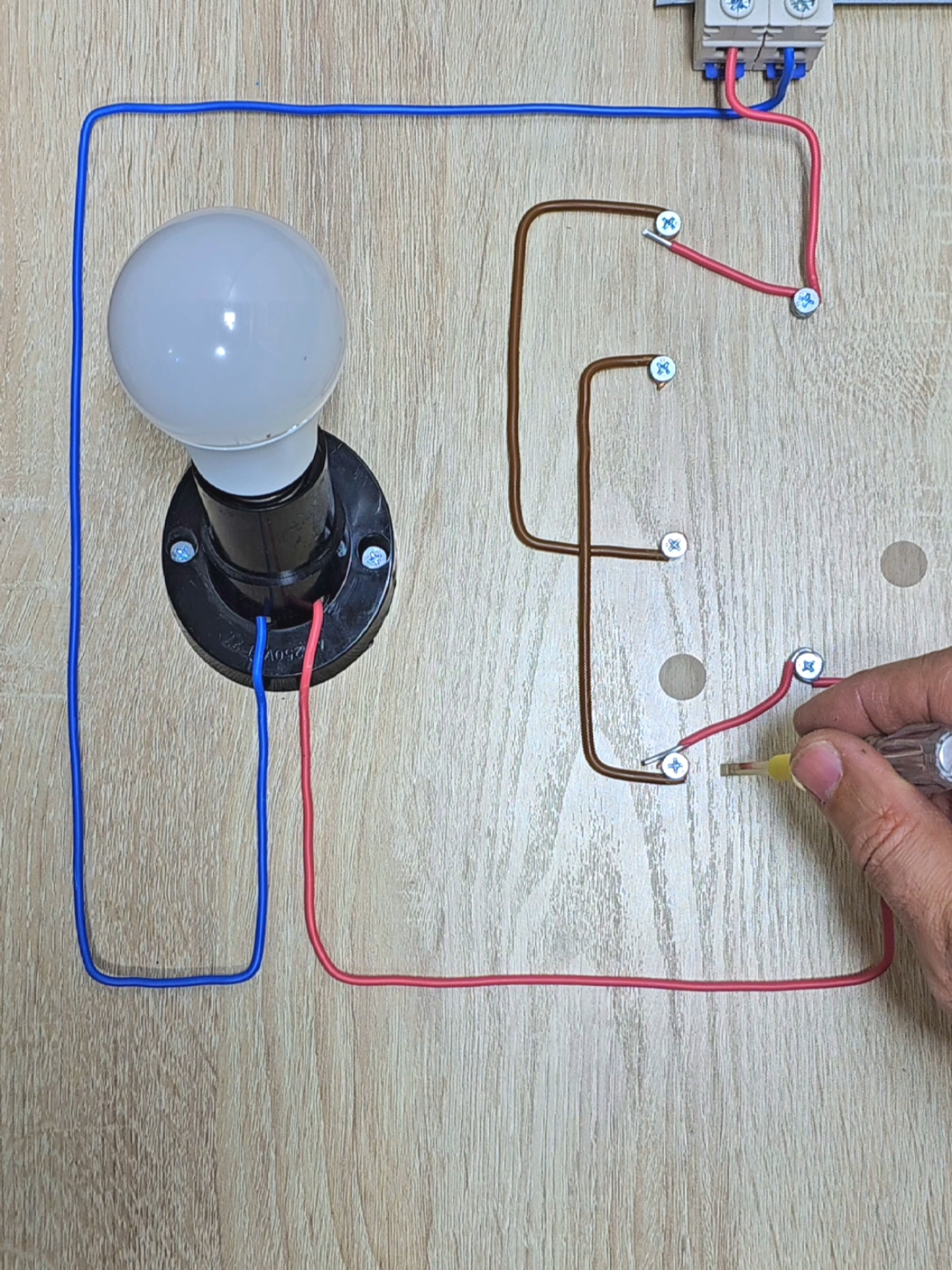 How a three way light switch works? #experiment  #scienceexperiments  #electrician  #election  #DIY  #diyhacks  #tipsandtricks  #самоделки 