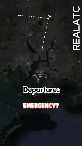 Plane Forced into Emergency Landing Following Severe Bird Strike / ATC Recording