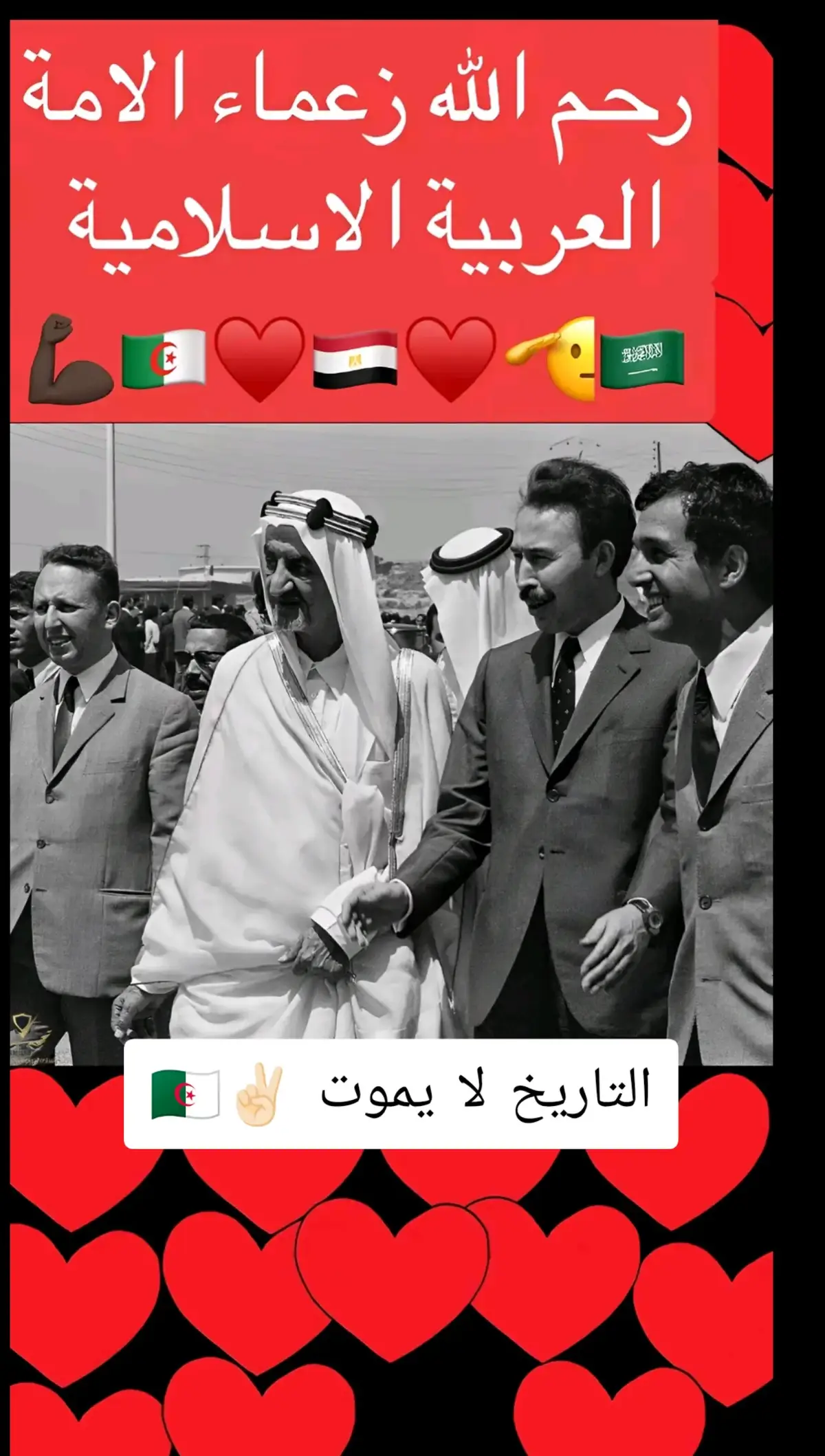 #الشعب_الصيني_ماله_حل😂😂 #انا_جزائري_ونحب_بلادي🇩🇿🇩🇿 #العلمة #tiktoklongs #الجزائر🇩🇿 #السعوديه🇸🇦💚 #مصر🇪🇬 