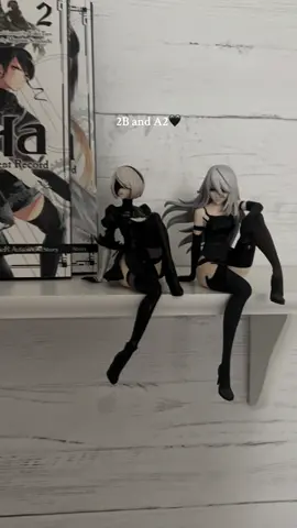 Another post of them bc I love them sm #neirautomata #2bneirautomata #neirautomata2b #neirautomita #anime #animelover #neirautomataa2 #animefigure #animefigurecollection #animefyp #gothaesthetic #animeaesthetic #neirautomataedit #neirautomata9s #animetiktok #animetok #darkaesthetic #cybercore #foryoupage #fyp 