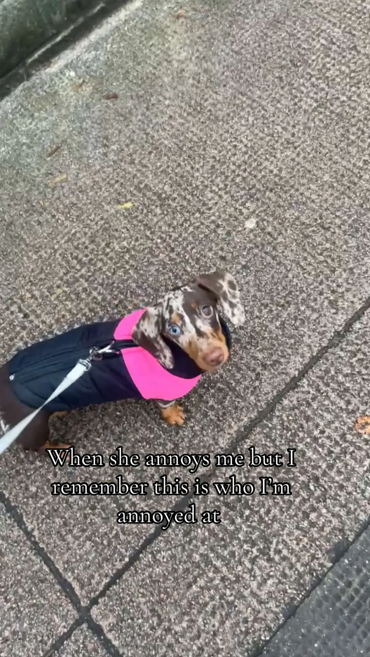 Another post for Daisy xx
