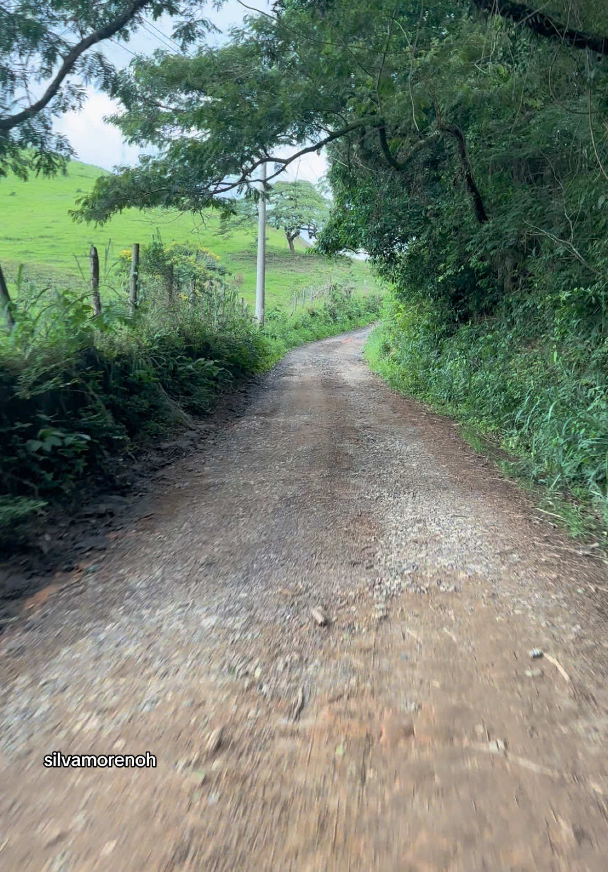 🤠🍃🏡 #calmariaqueamo😍🍃🍀 #modão #paisagem #minasgerais #zezedicamargoeluciano #estradadeterra 